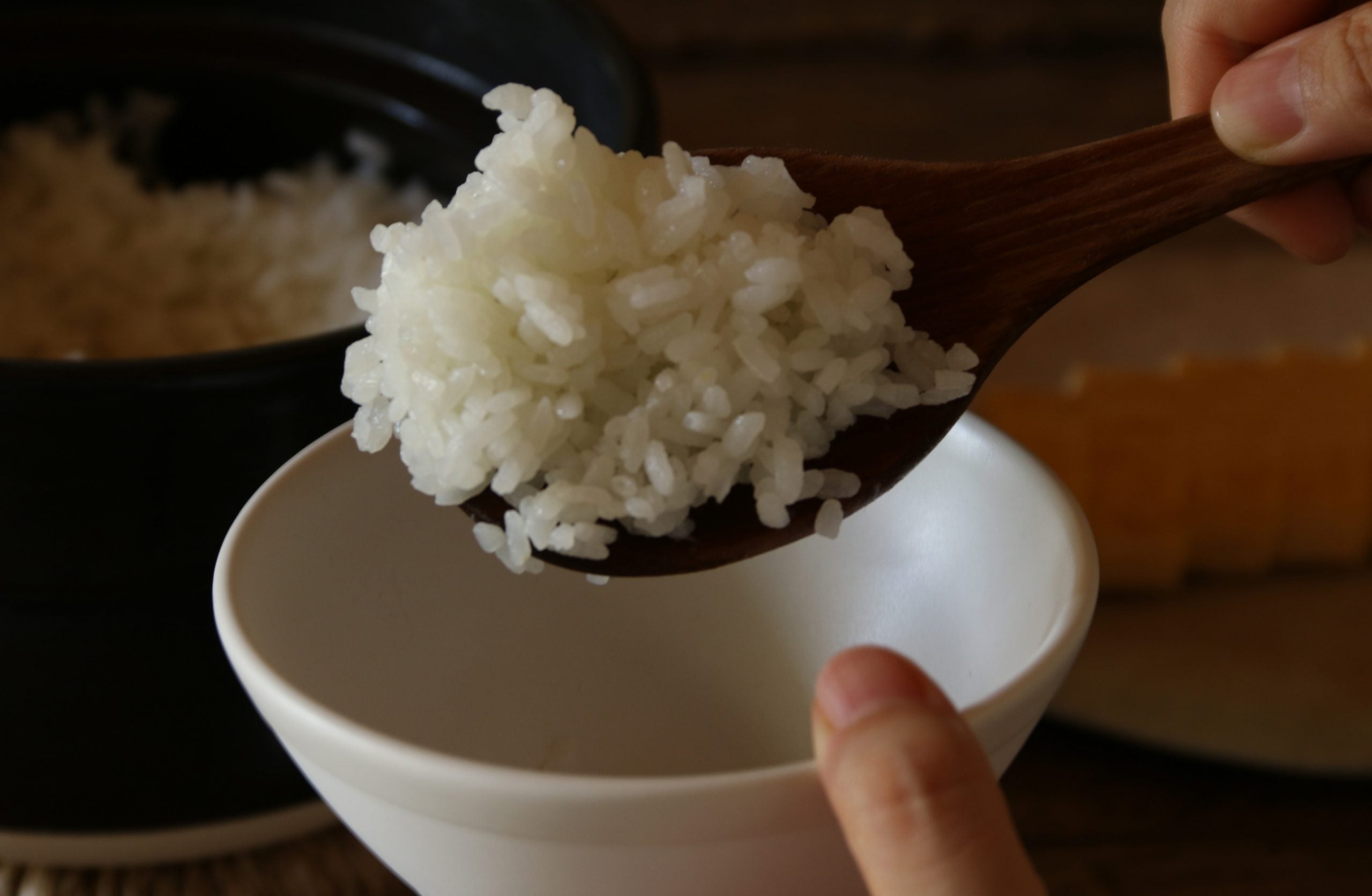ごはんのしゃもじ|かもしか道具店