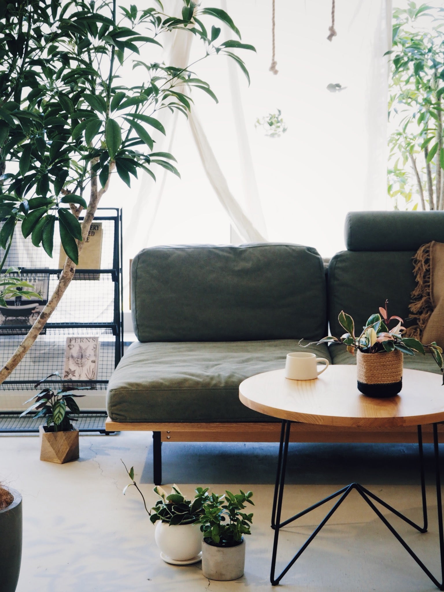 ASH LIVING TABLE HIGH