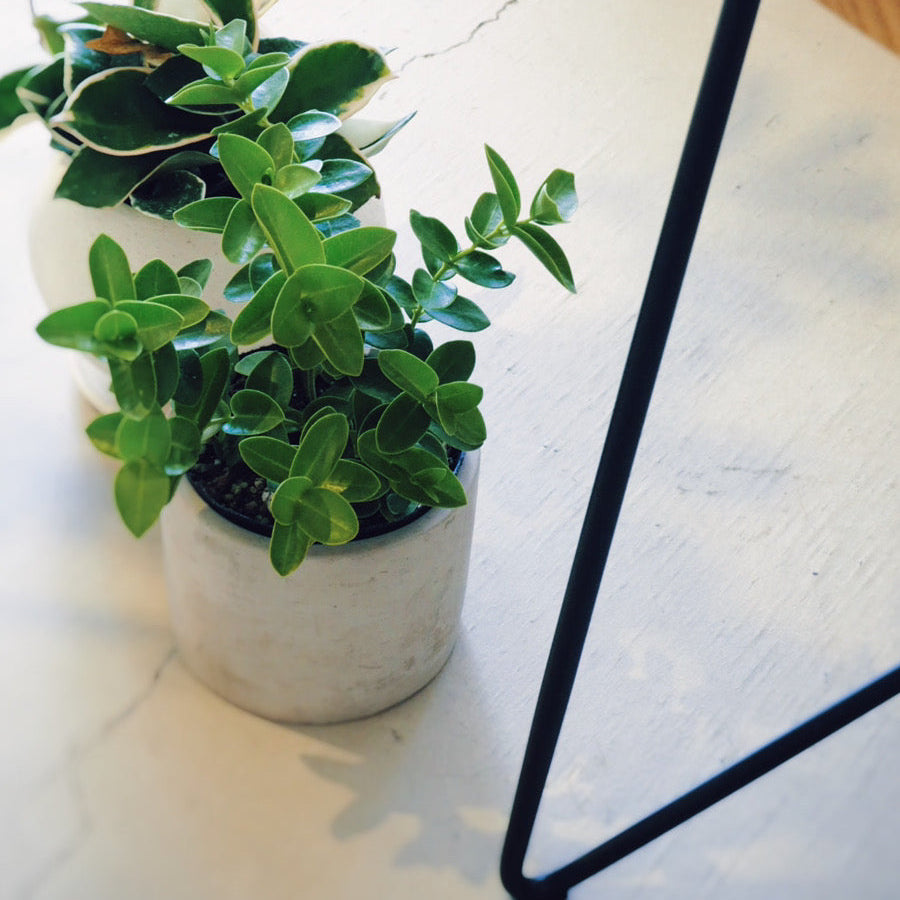 ナチュラルヴィンテージ リビングテーブル スチール