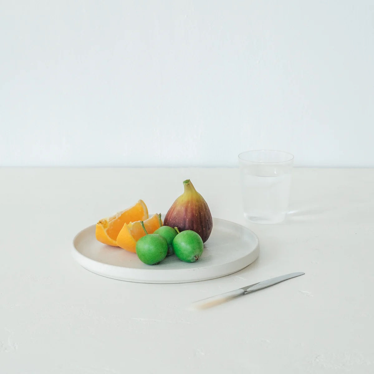 KITTATE PLATE