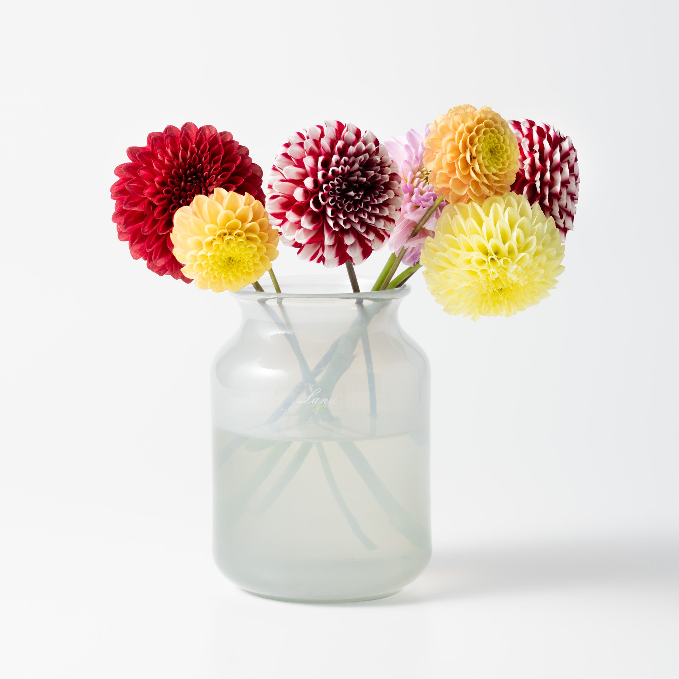 Bern H16 グレー|Henry Dean