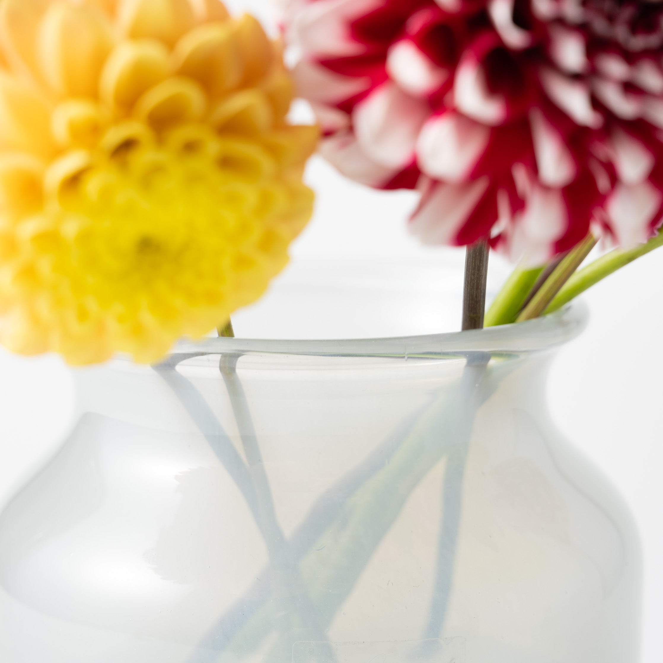 Bern H16 グレー|Henry Dean