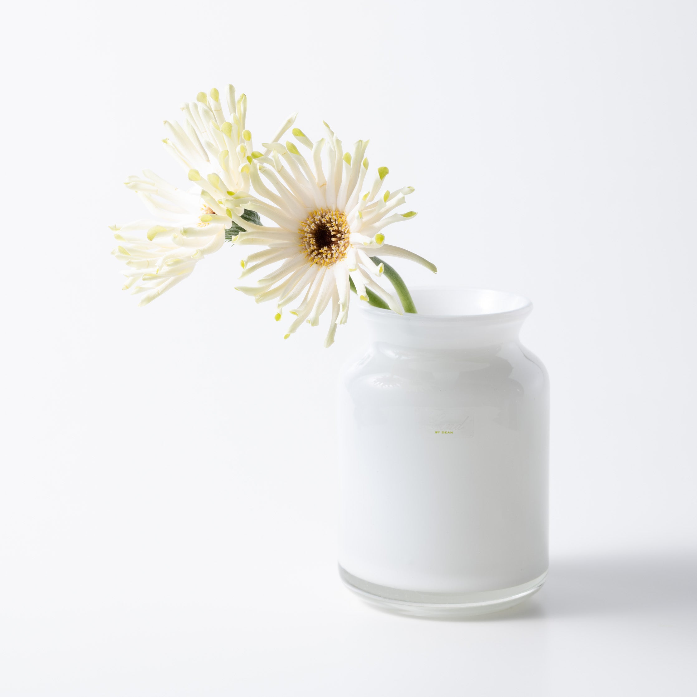 Bern H14.5 ホワイト|Henry Dean