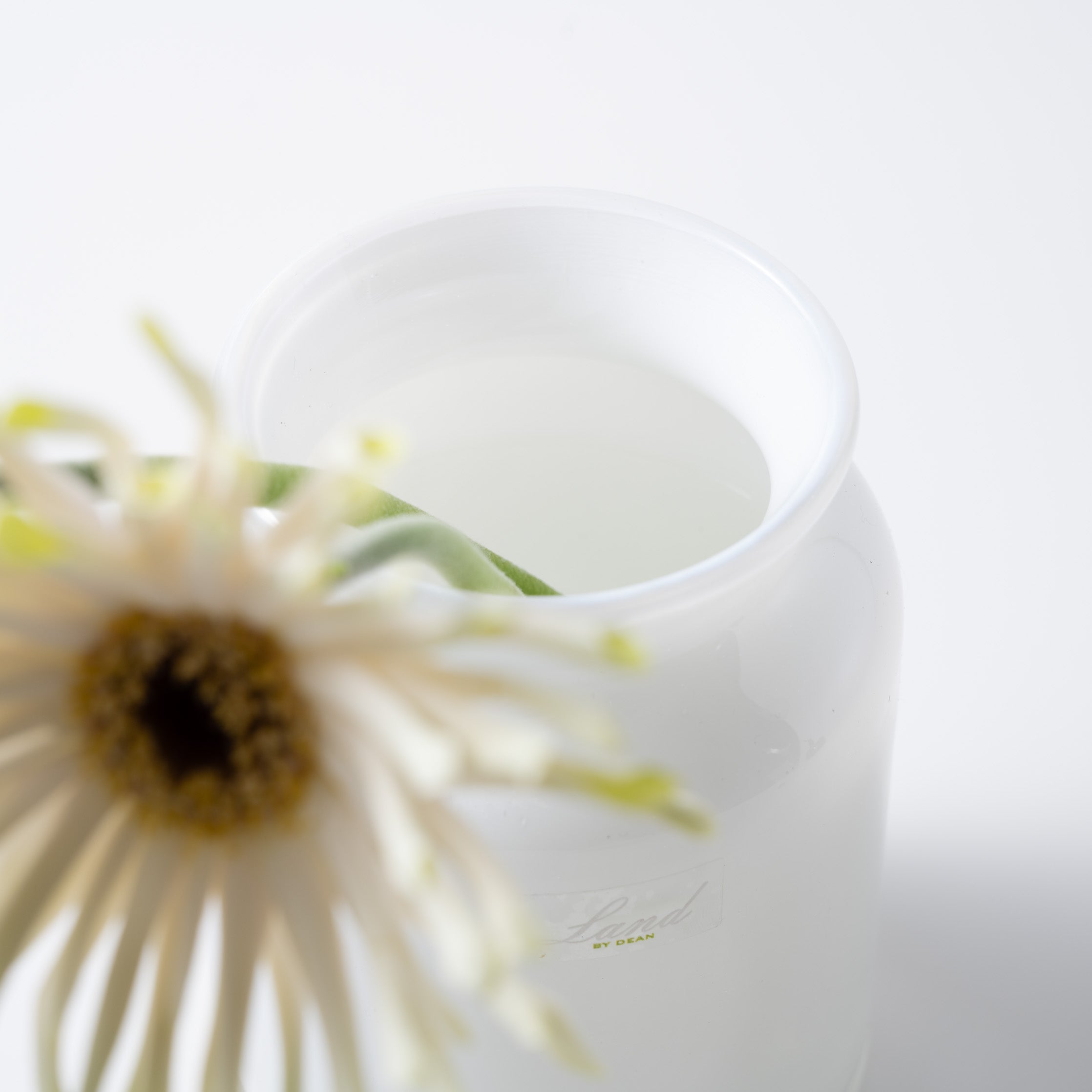 Bern H14.5 ホワイト|Henry Dean