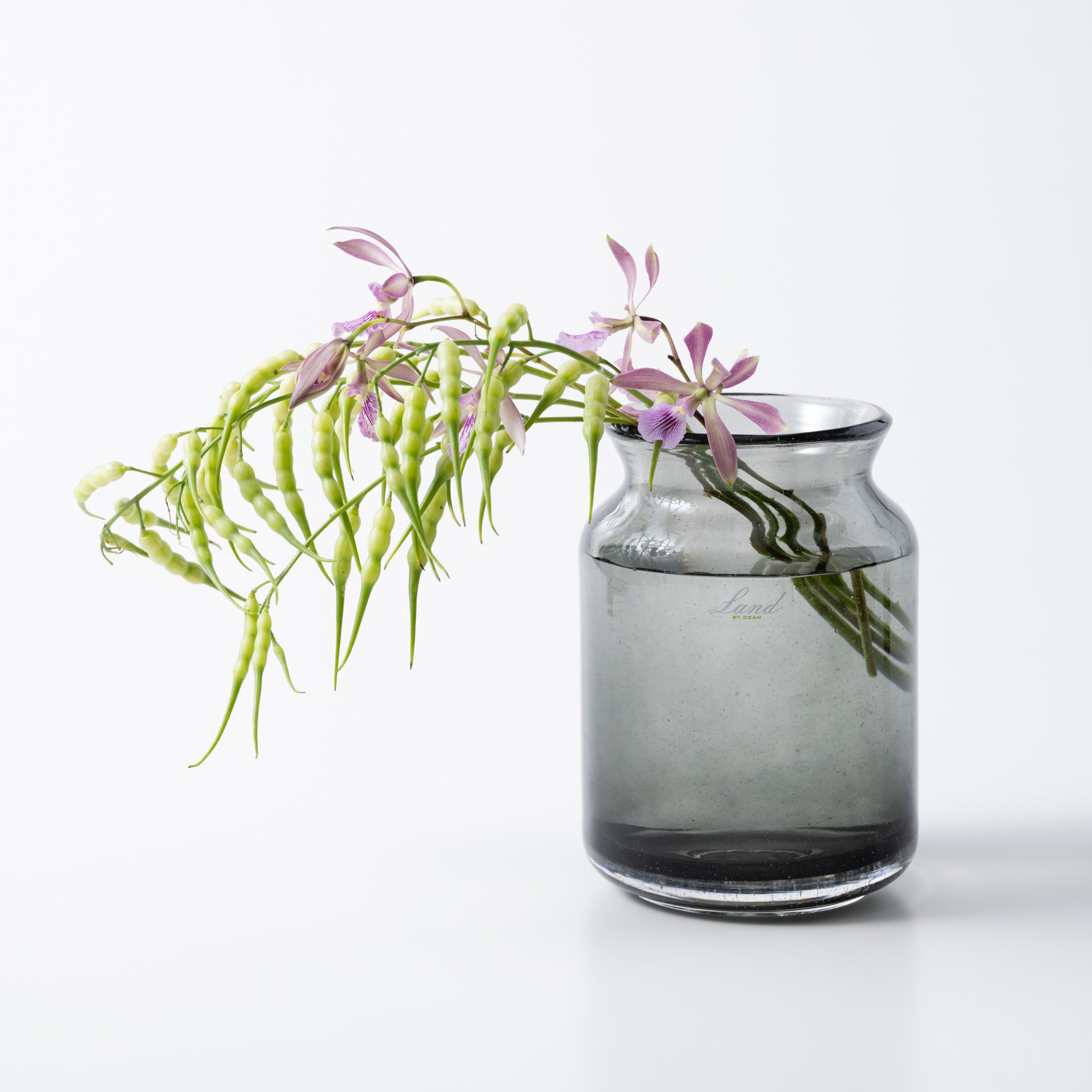 Bern H14.5 スモーク|Henry Dean