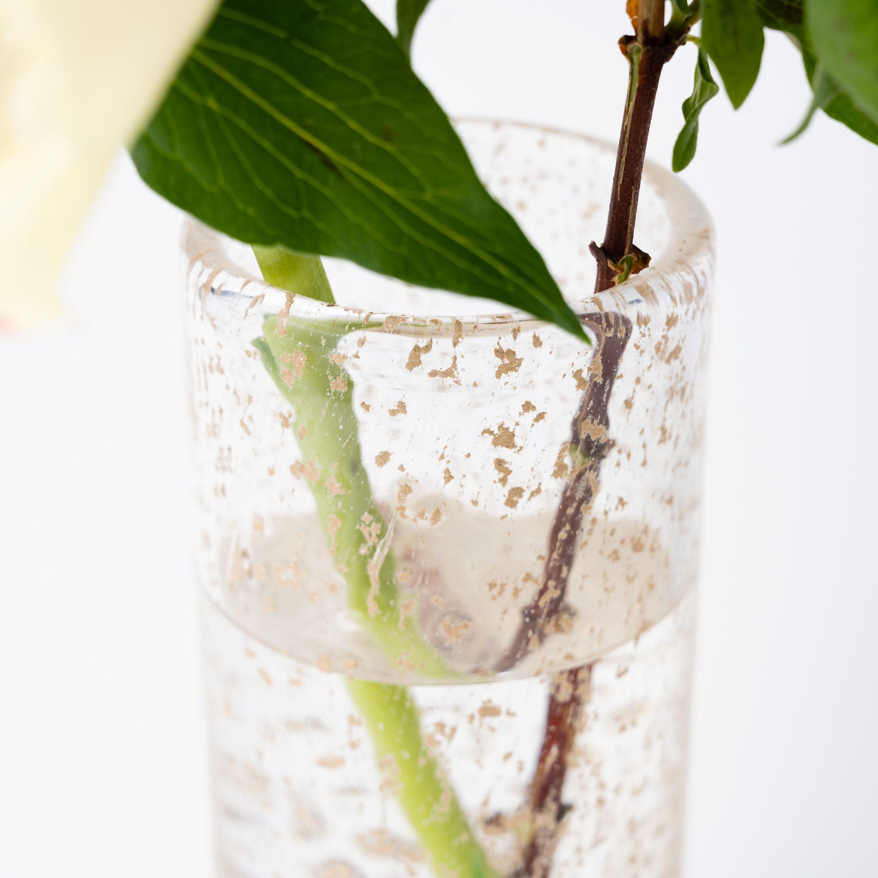 Pipe S ビジュー|Henry Dean