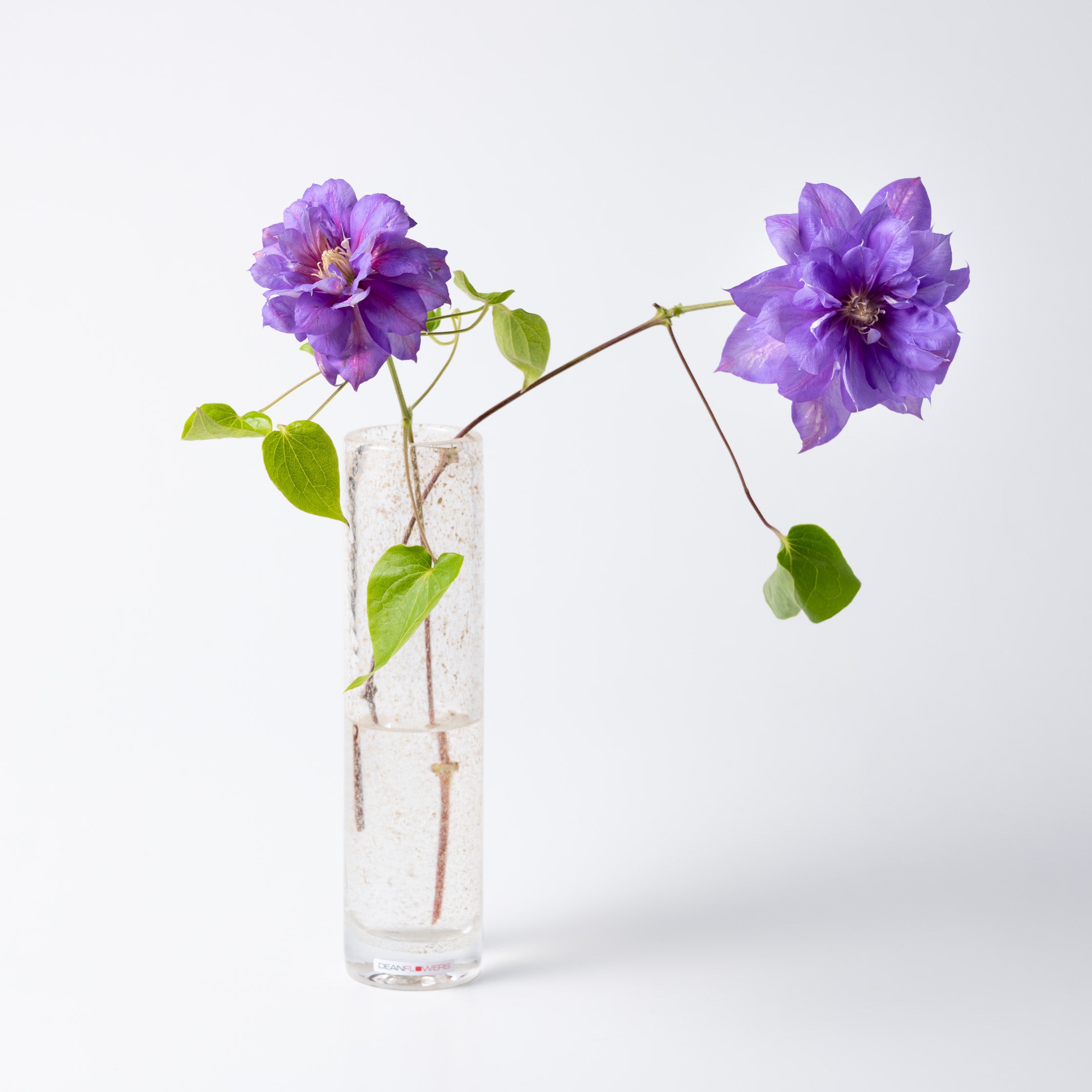 Pipe M ビジュー|Henry Dean