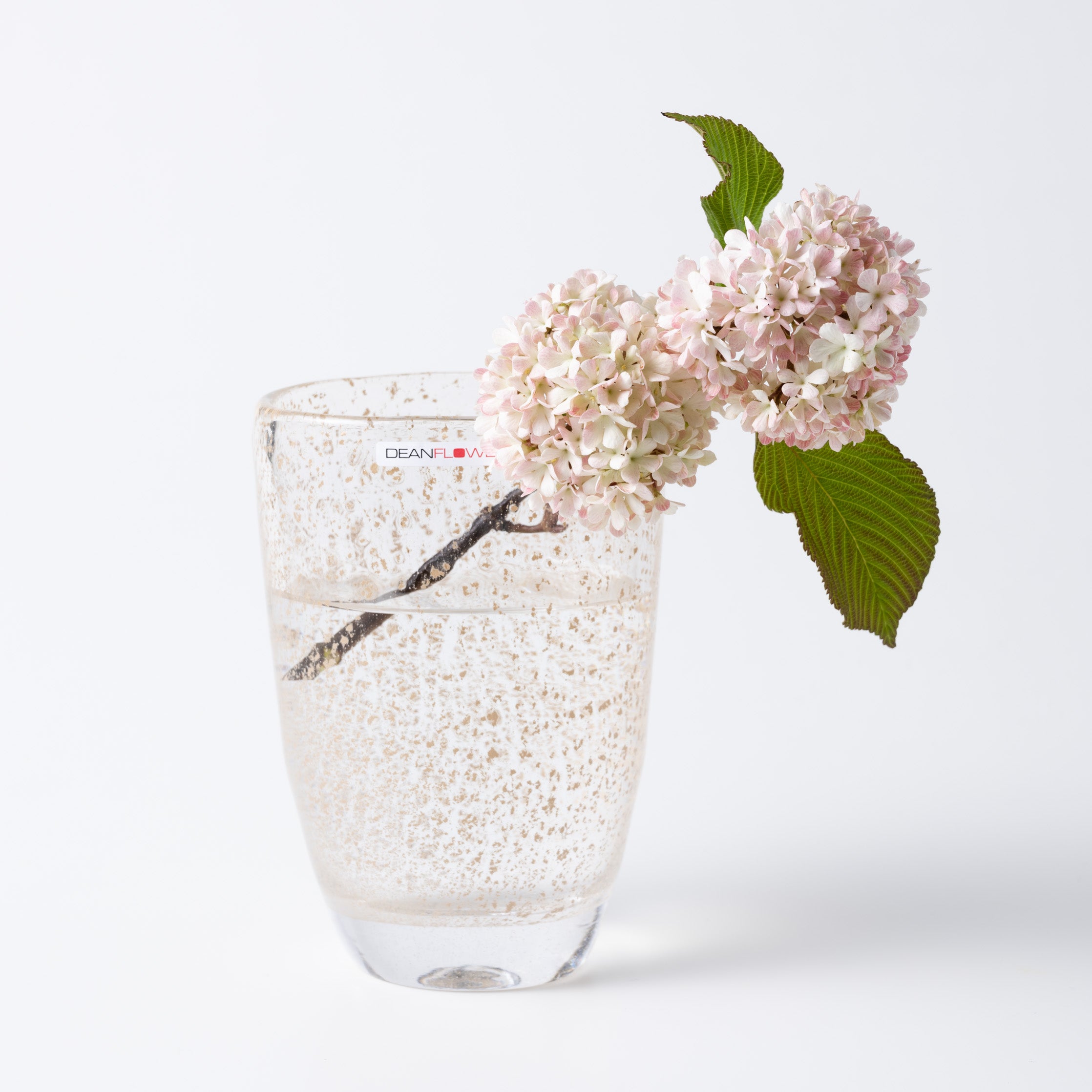 Julien XS ビジュー|Henry Dean