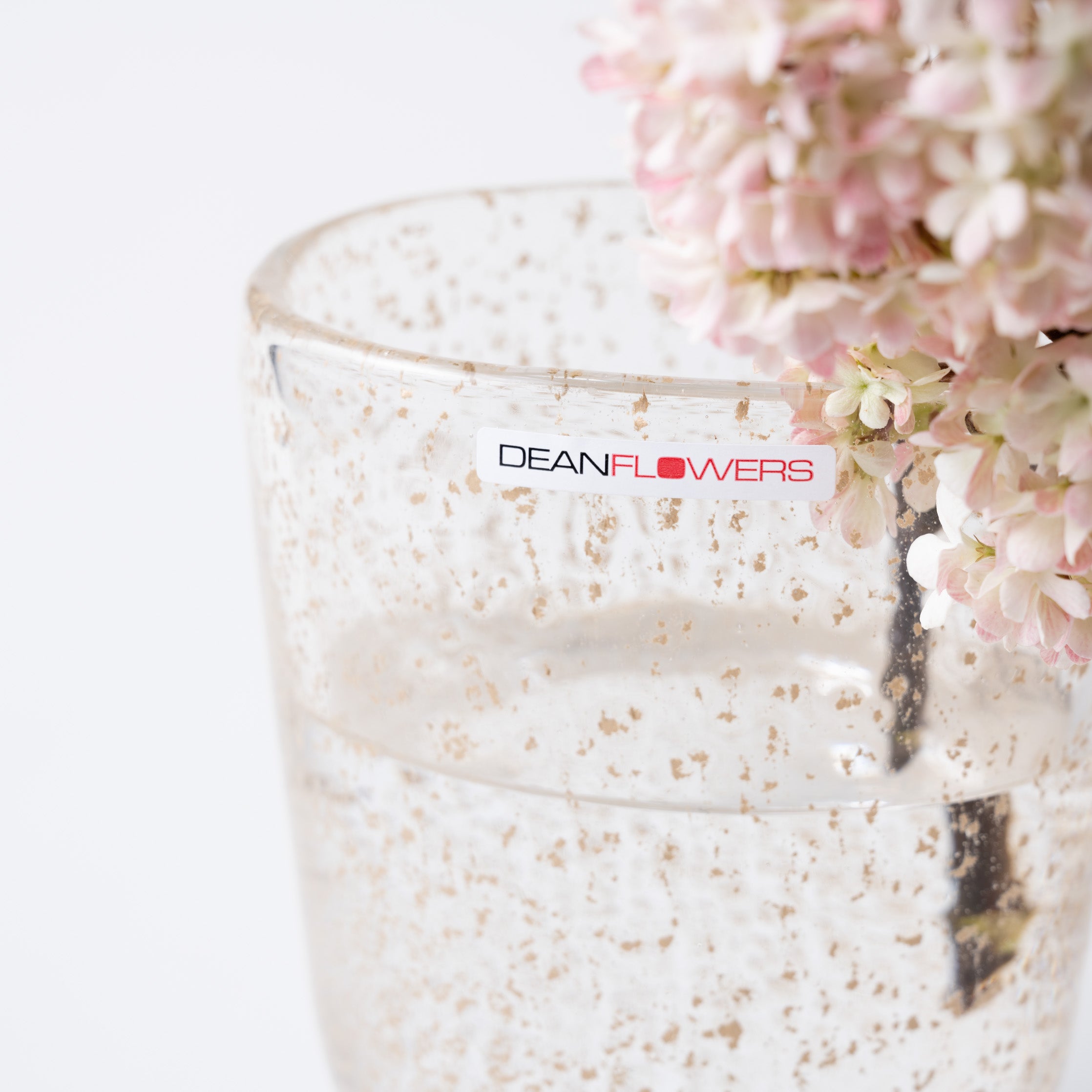 Julien XS ビジュー|Henry Dean