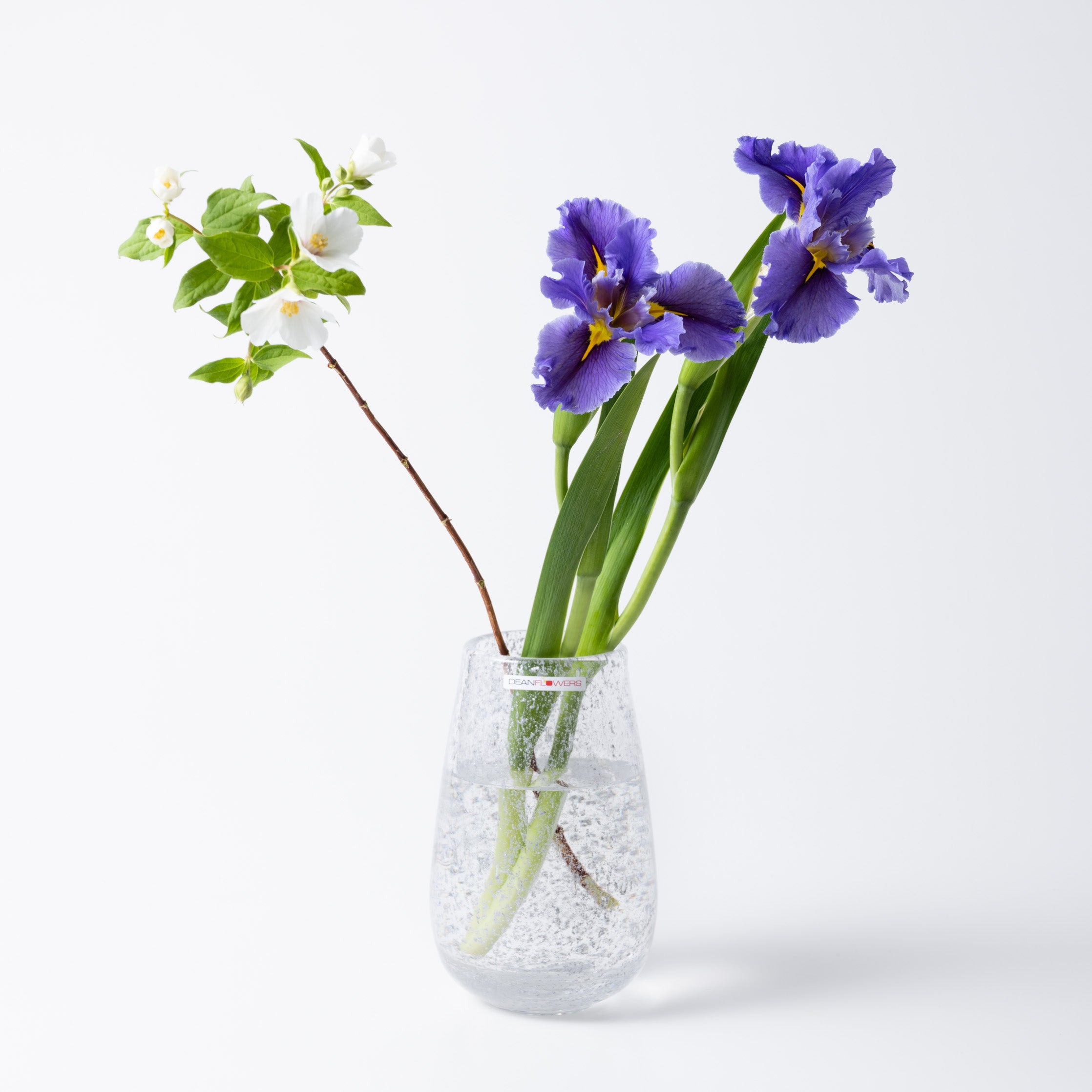 Stromboli XS シルバー |Henry Dean