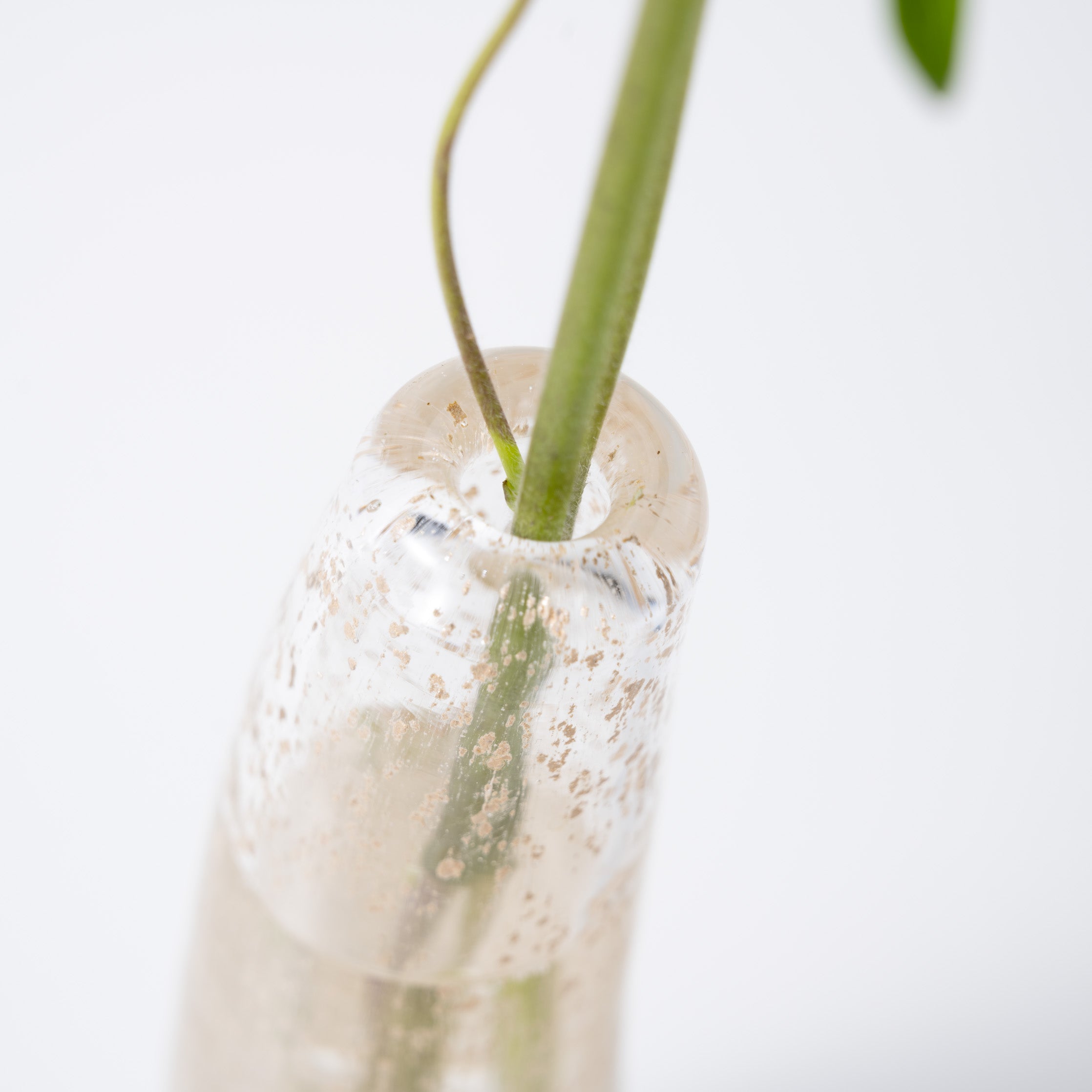 Grass S ビジュー|Henry Dean