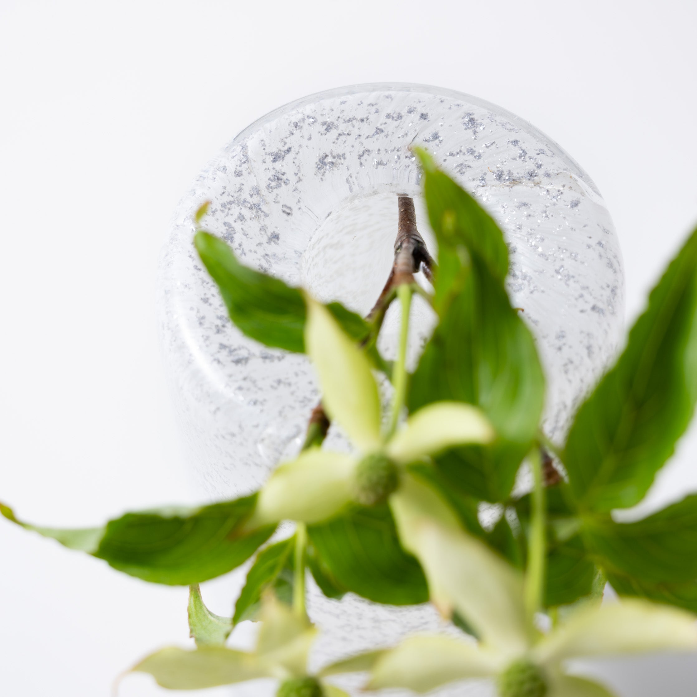 Fumiko high XXS ジュエル|Henry Dean