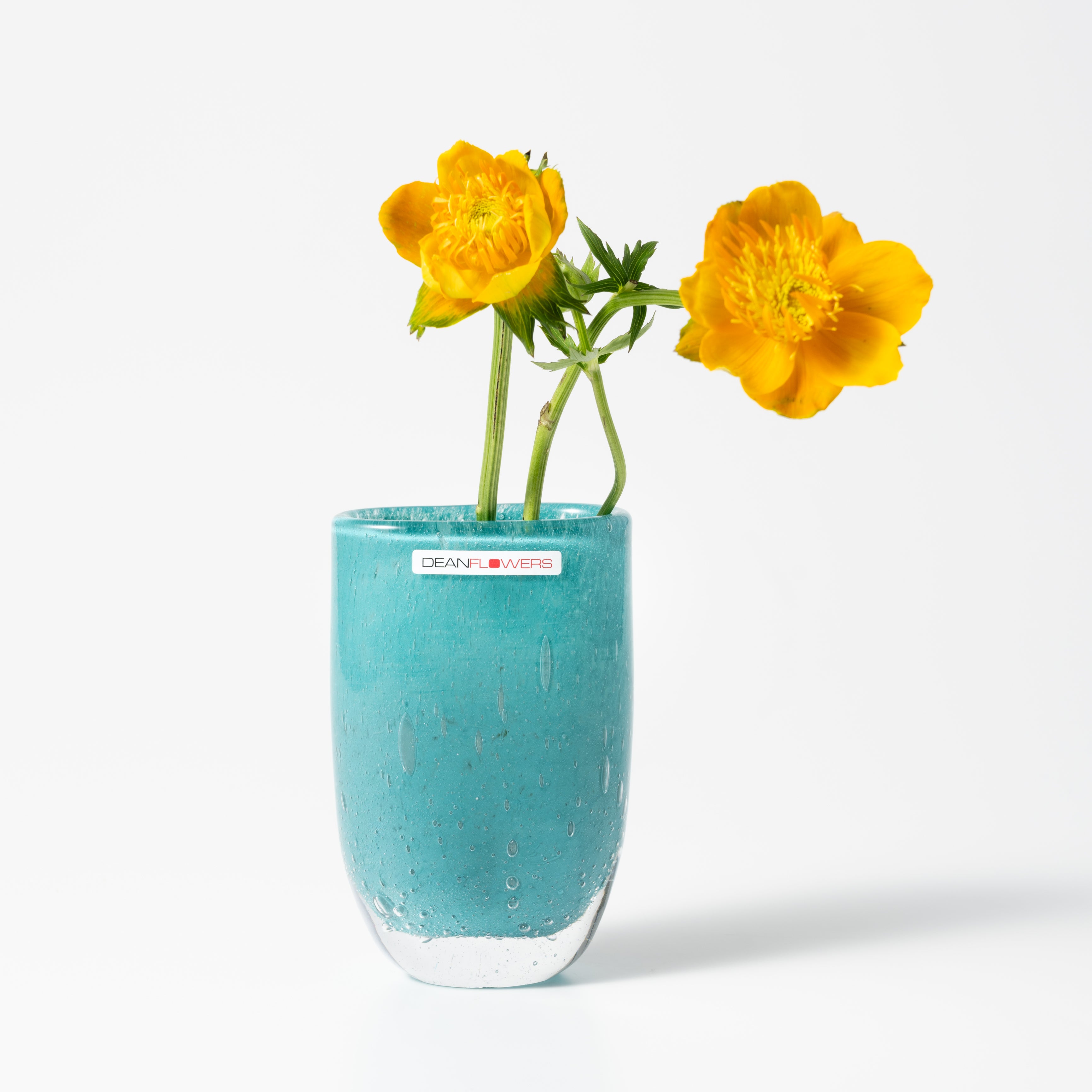 Julien XS カリビアン|Henry Dean