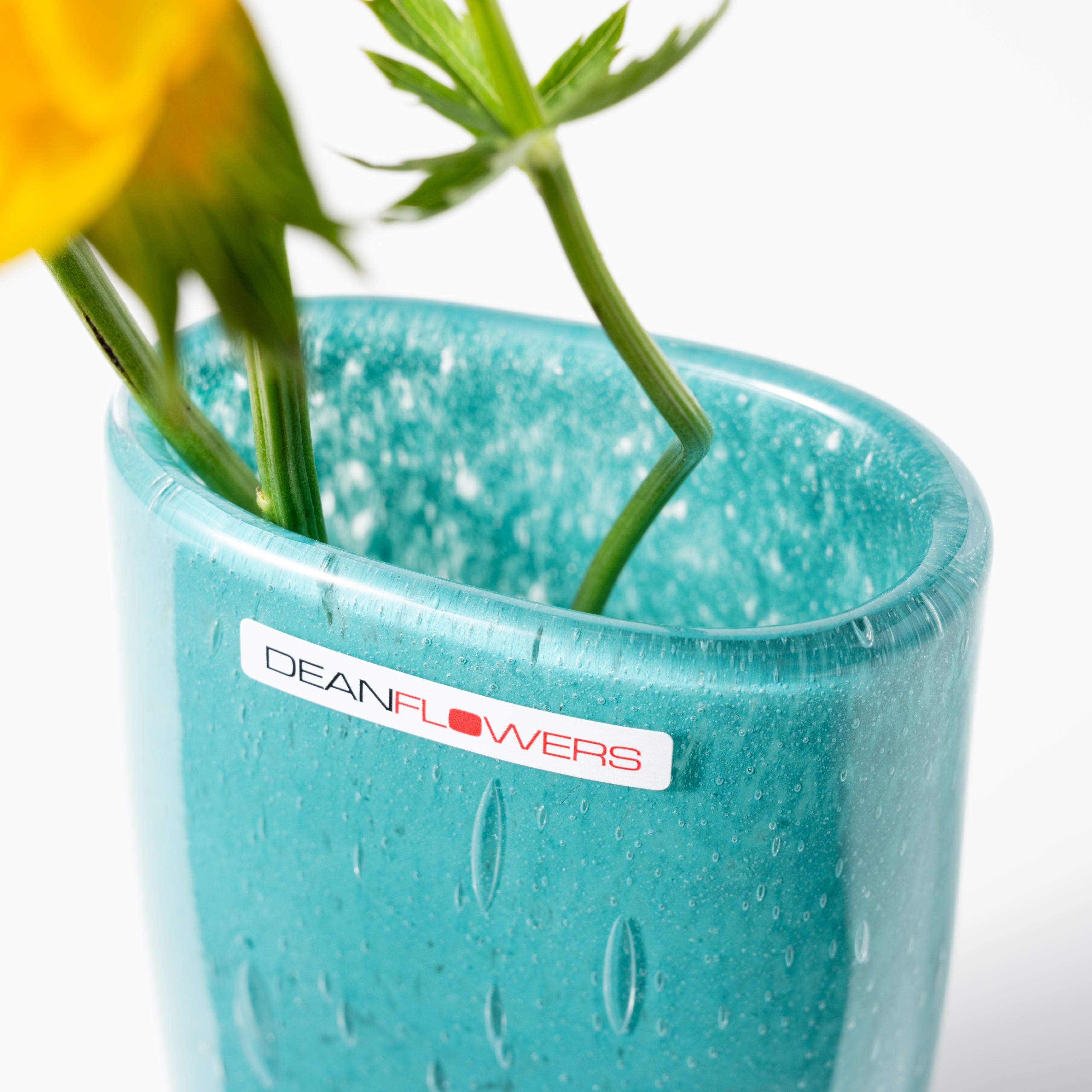 Julien XS カリビアン|Henry Dean