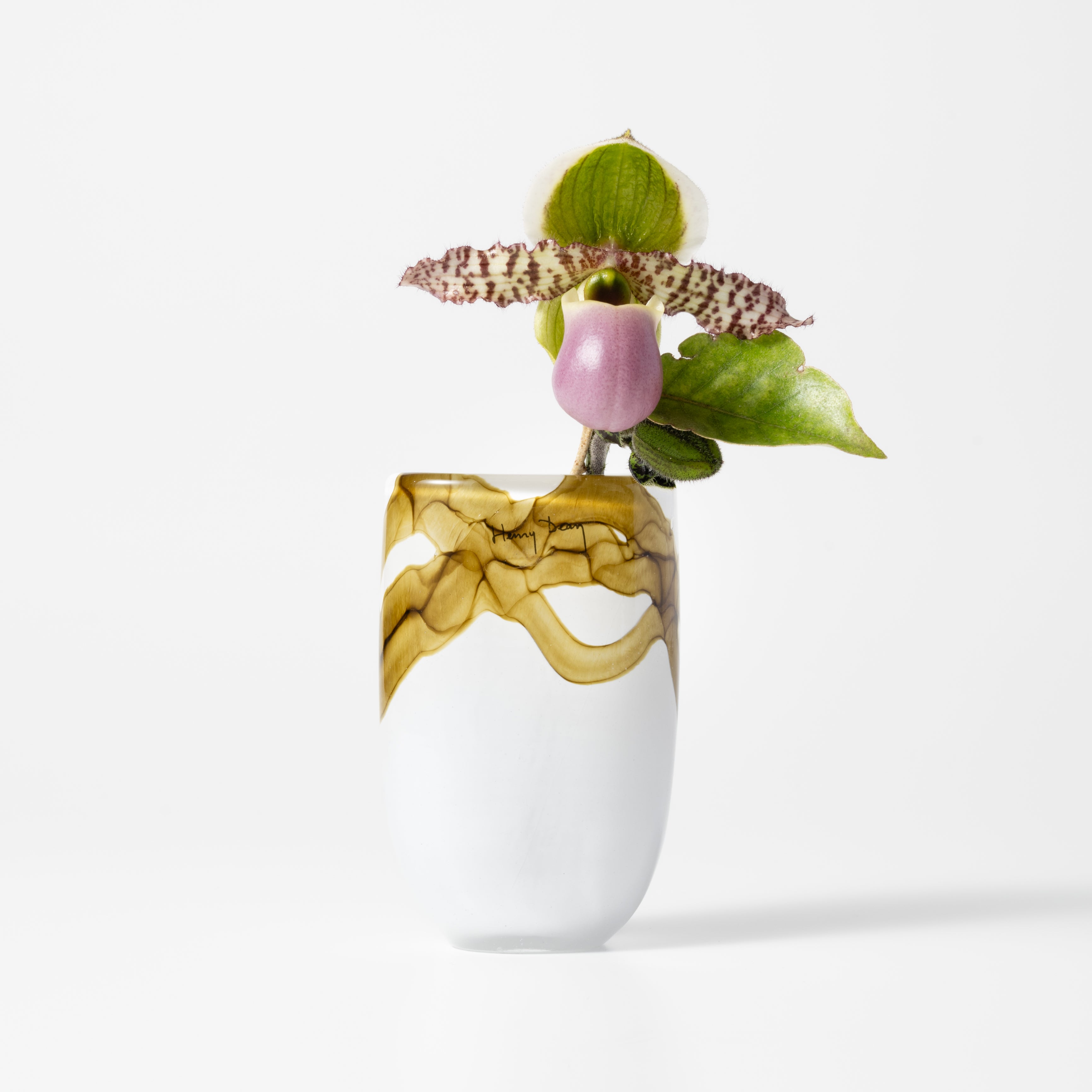 Julien XS アクアレルオリーブ|Henry Dean