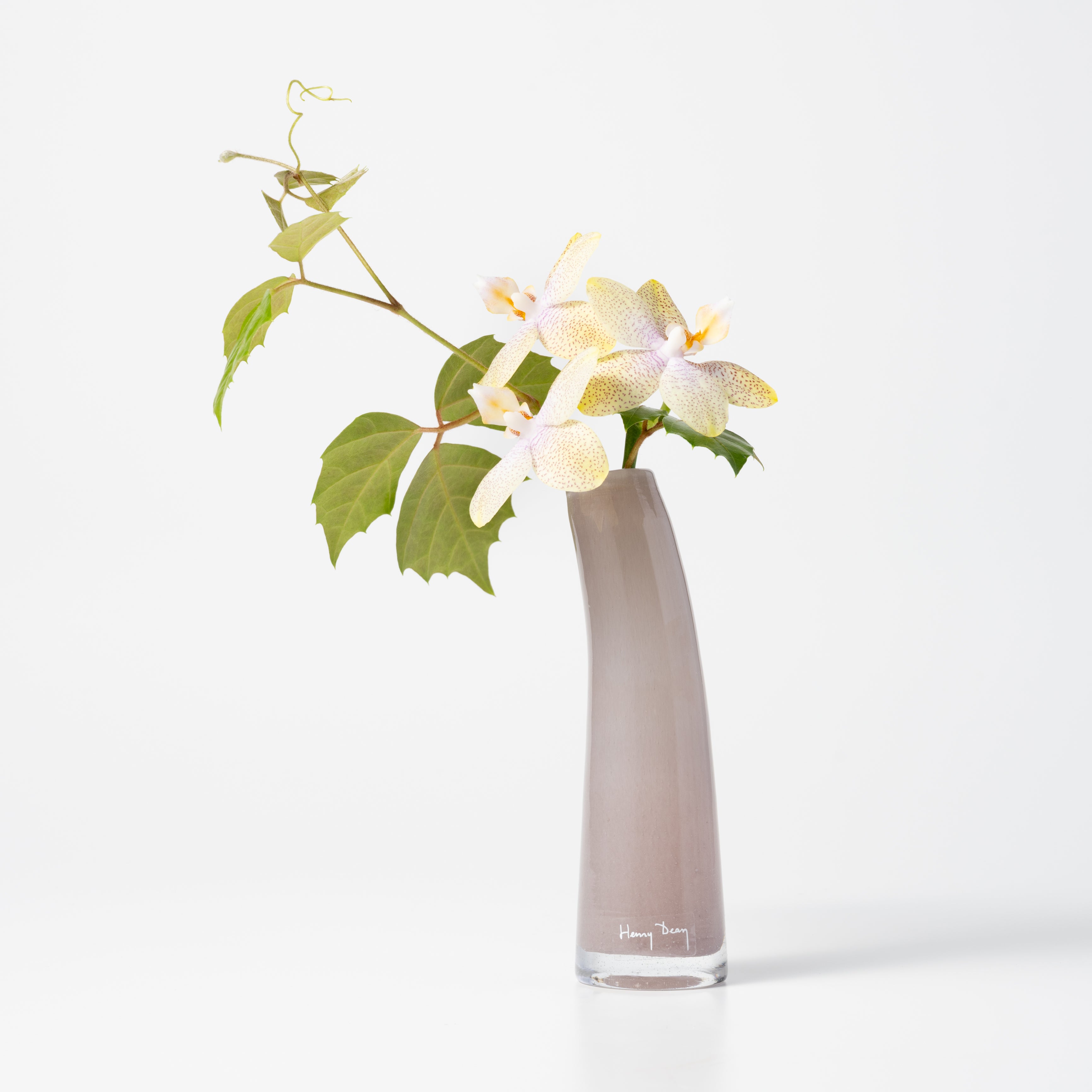 Grass S ゼフィーロ|Henry Dean