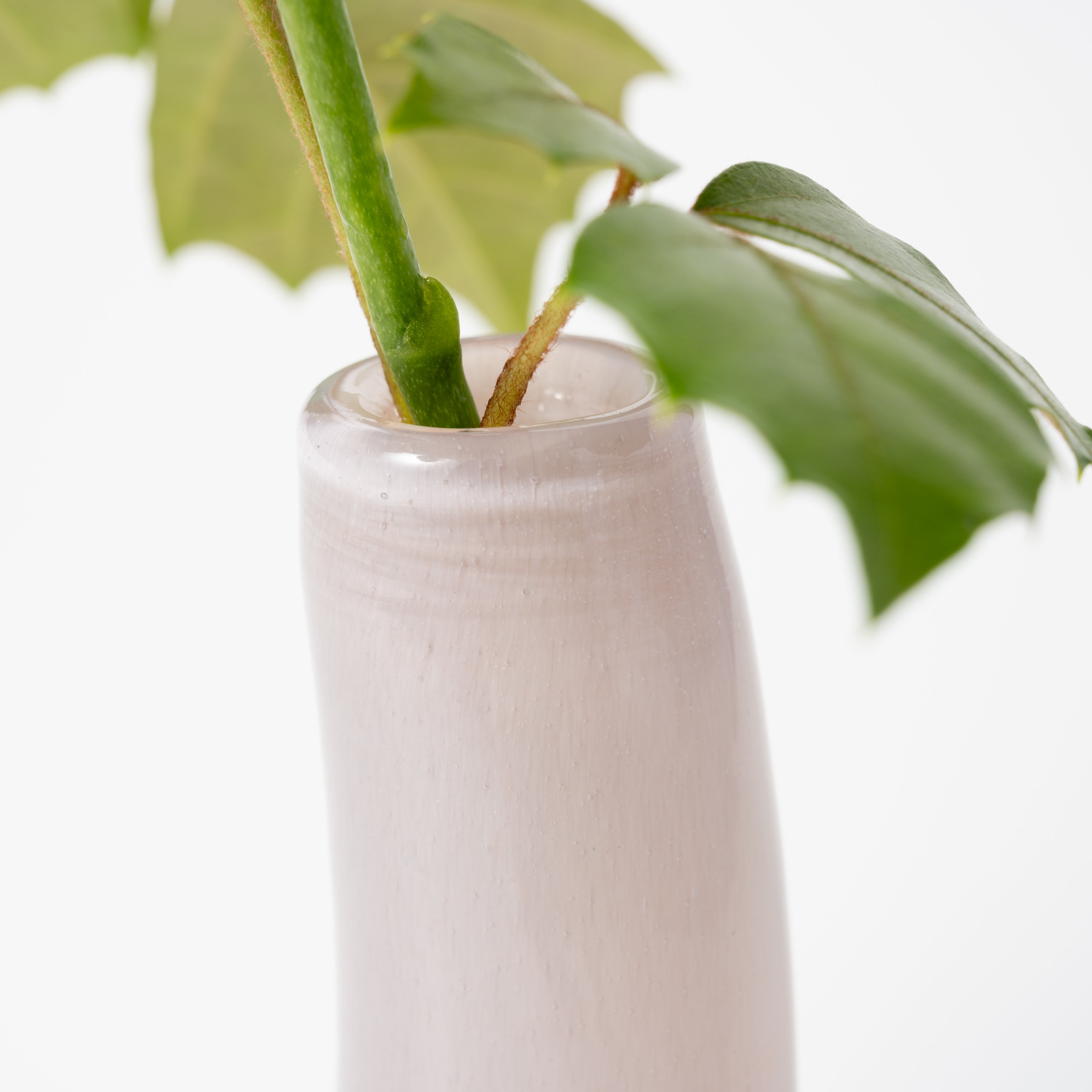 Grass S ゼフィーロ|Henry Dean