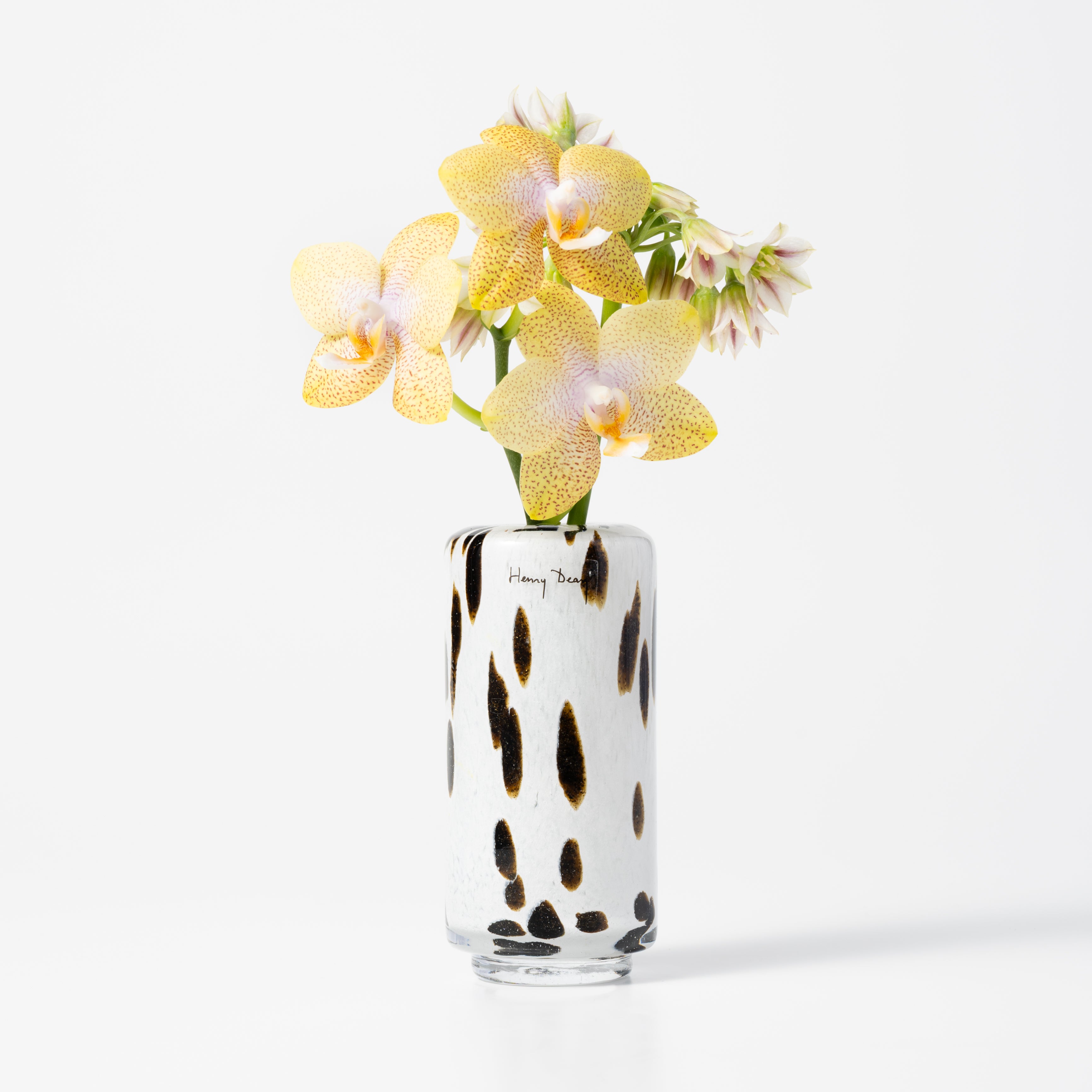 Fumiko high XXS アパルーサ|Henry Dean