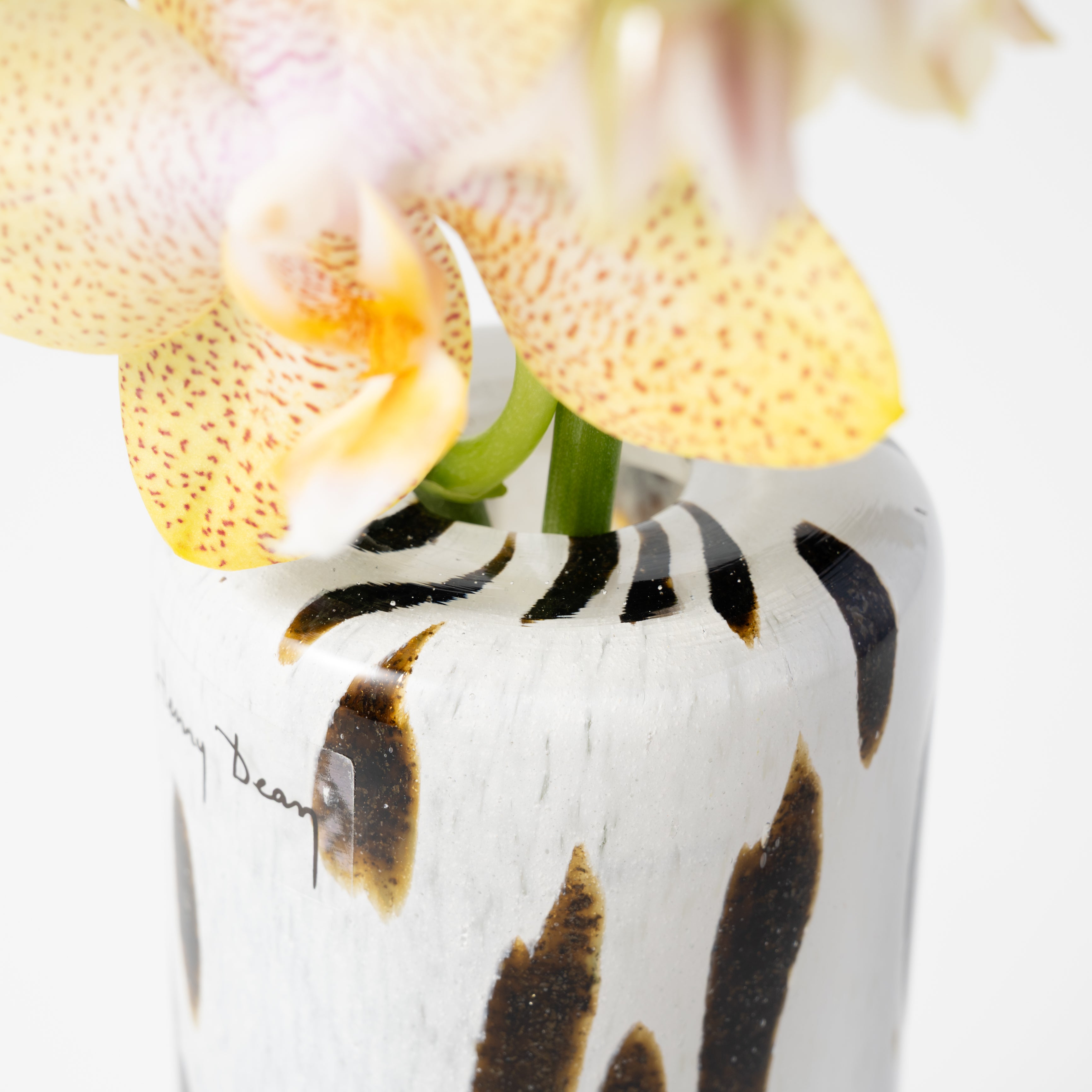 Fumiko high XXS アパルーサ|Henry Dean