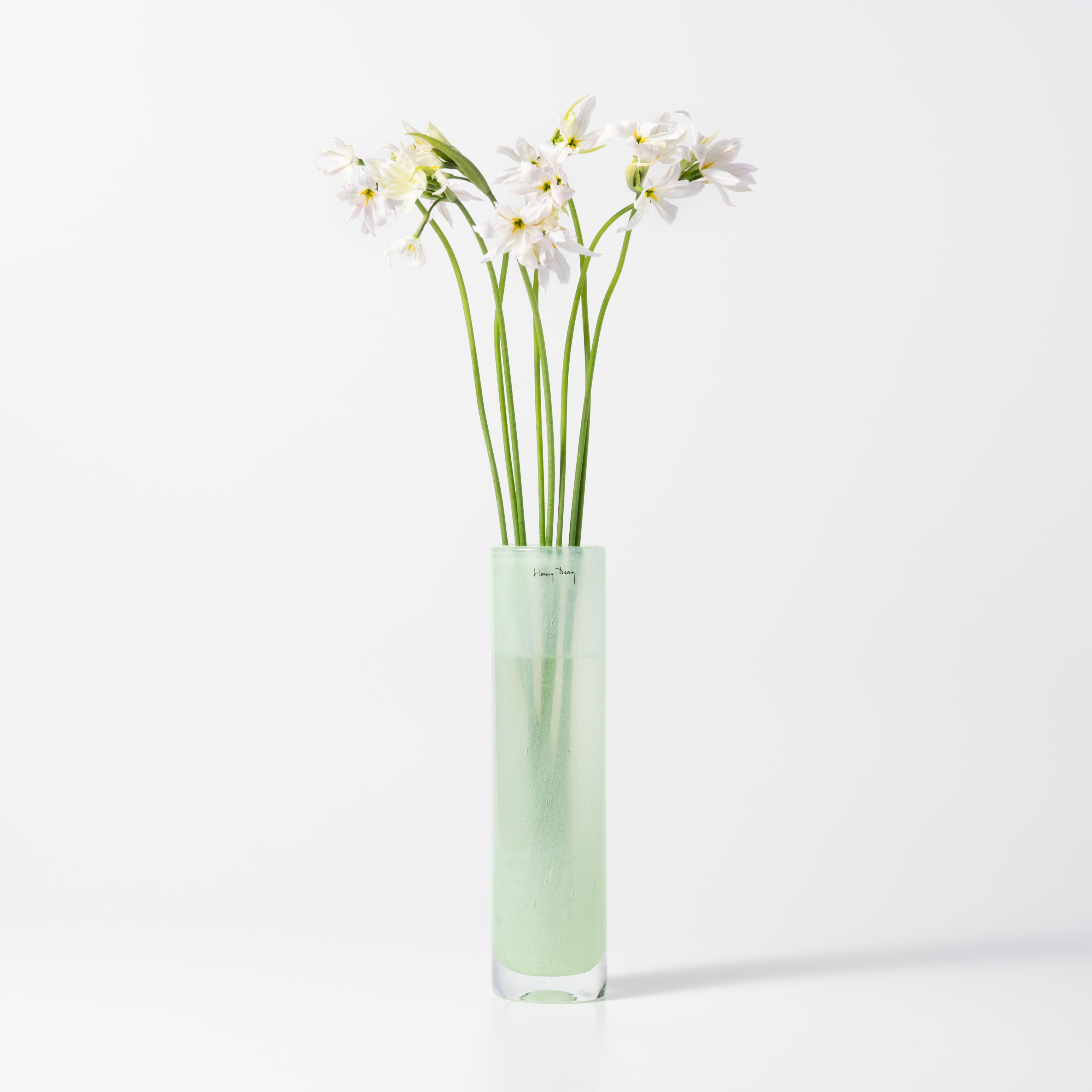 Pipe M ミント|Henry Dean