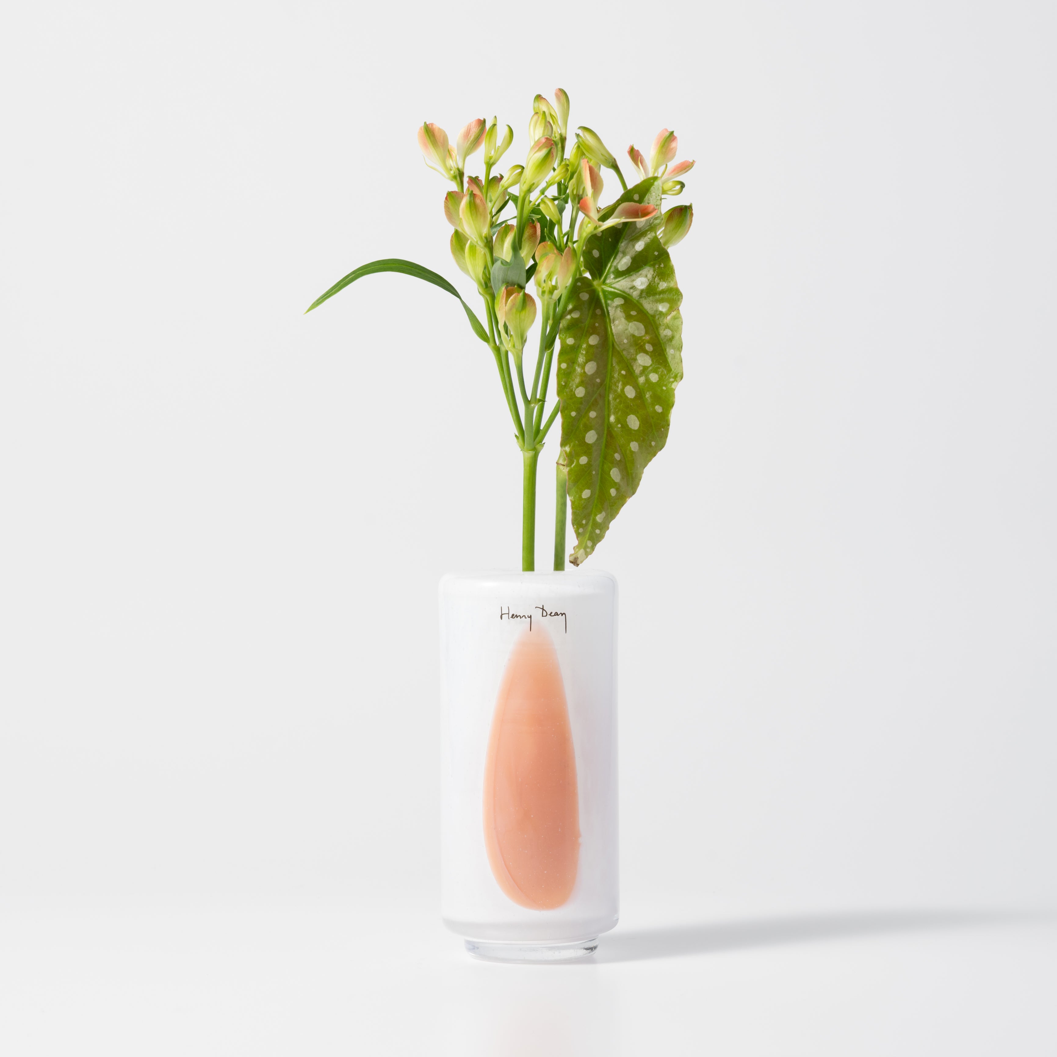 Fumiko high XXS ピンクステイン|Henry Dean