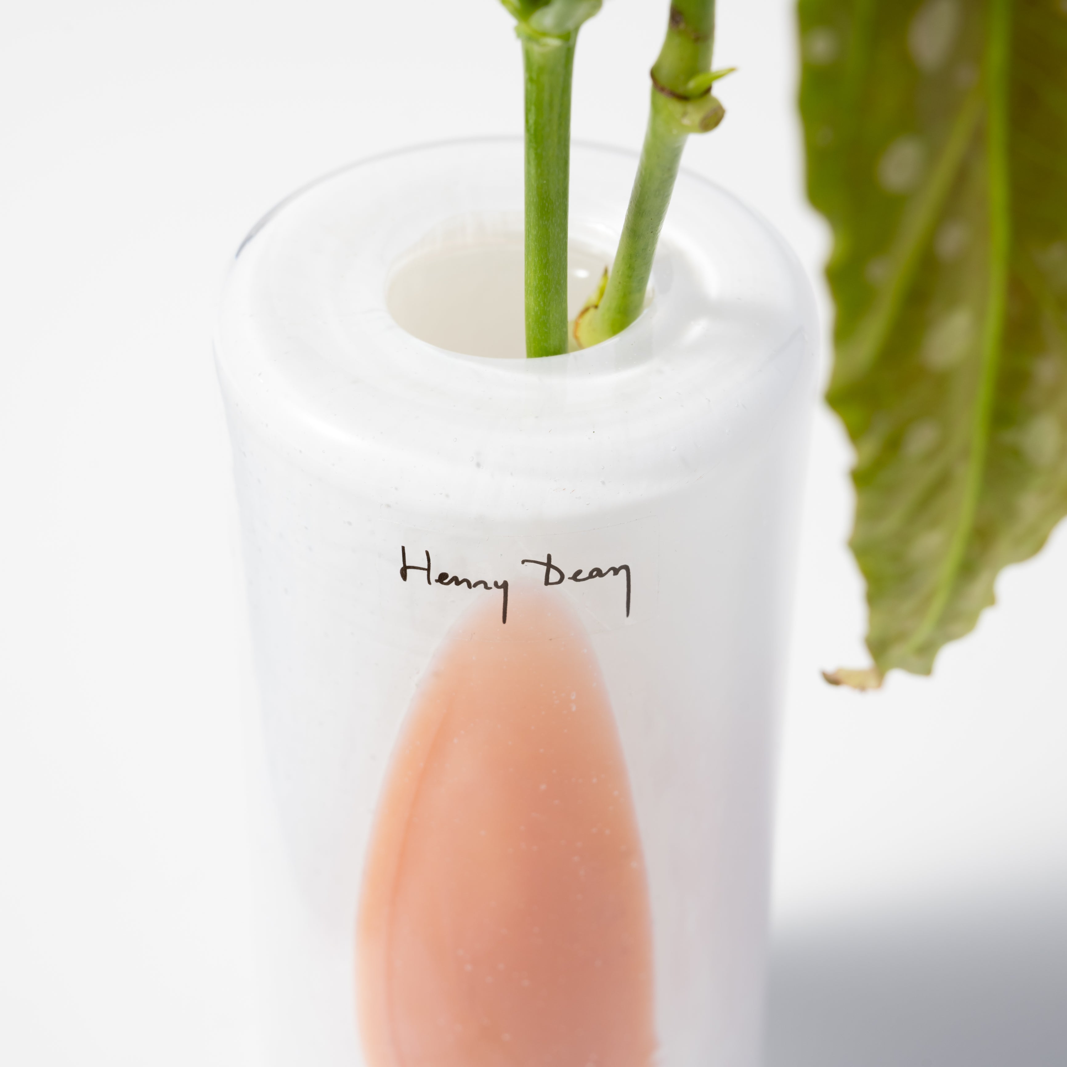 Fumiko high XXS ピンクステイン|Henry Dean