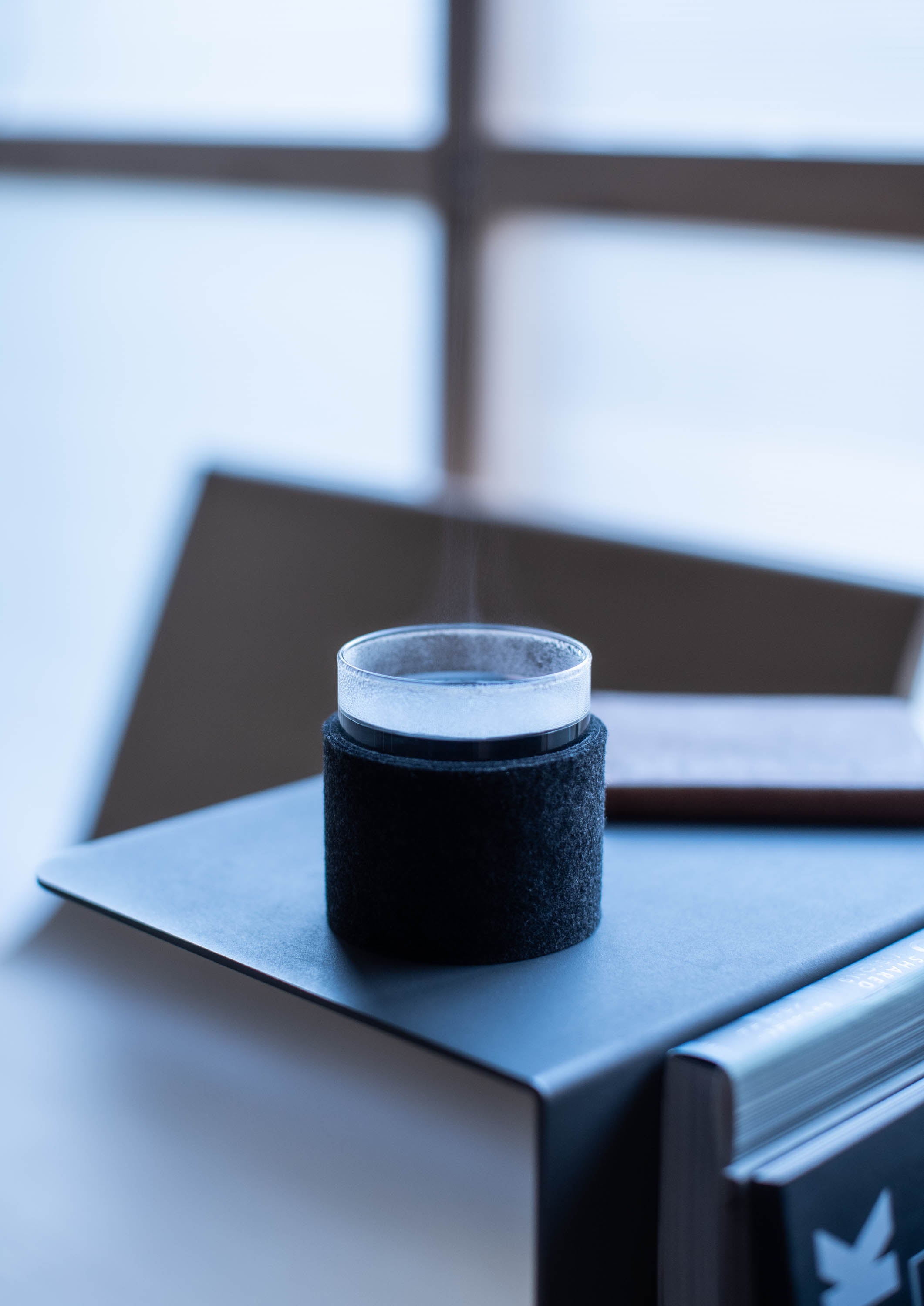 felt sleeve 65 GR (S/M/LH/CL)