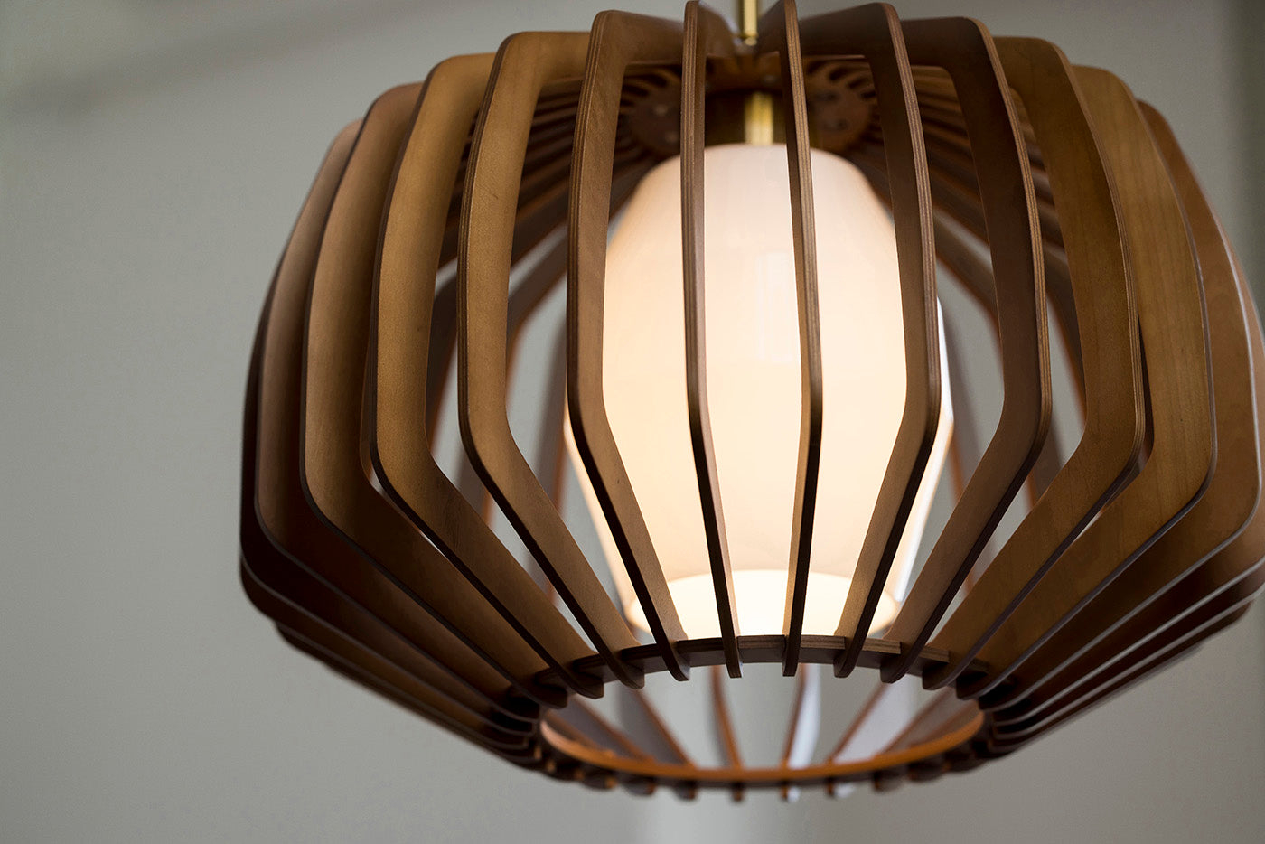 Cebolla|PENDANT LIGHT