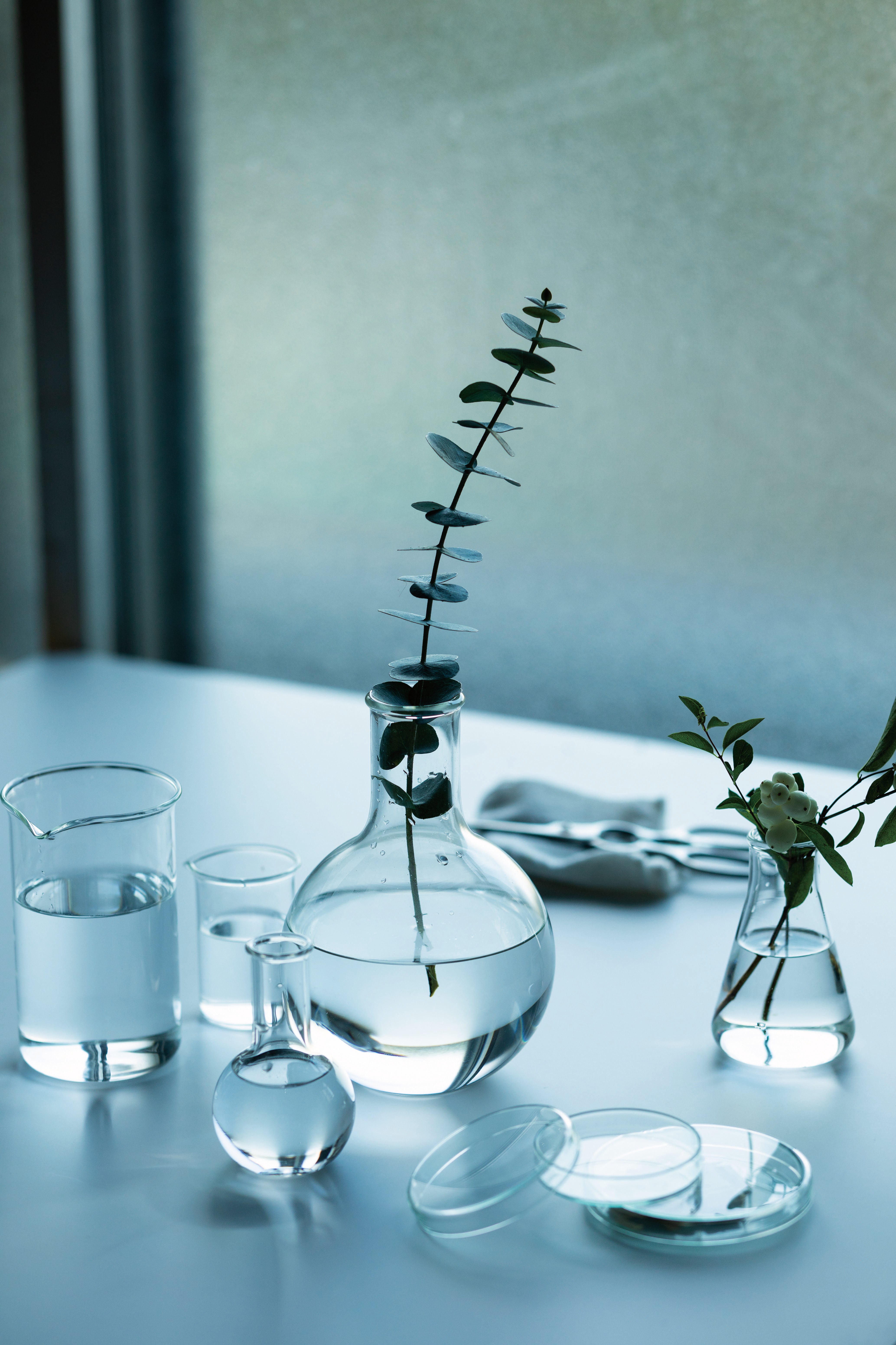 BOROSIL WIDE FLASK 100 BLANK