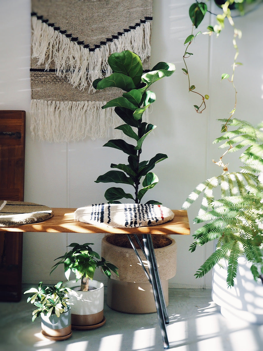 pell wool chair pad aath