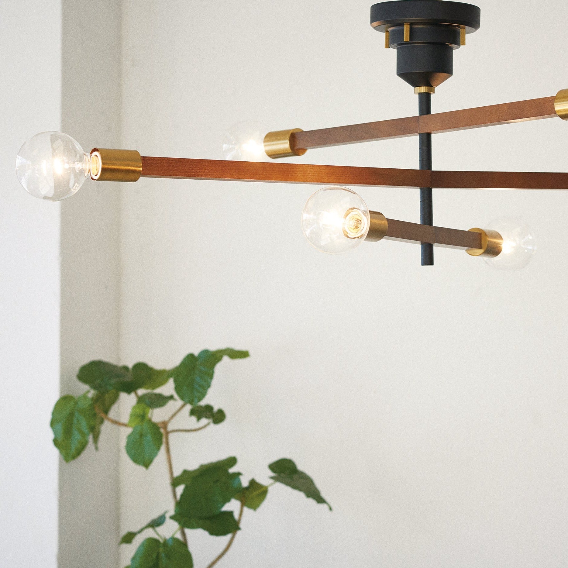 Astre -baum-|CEILING LIGHT