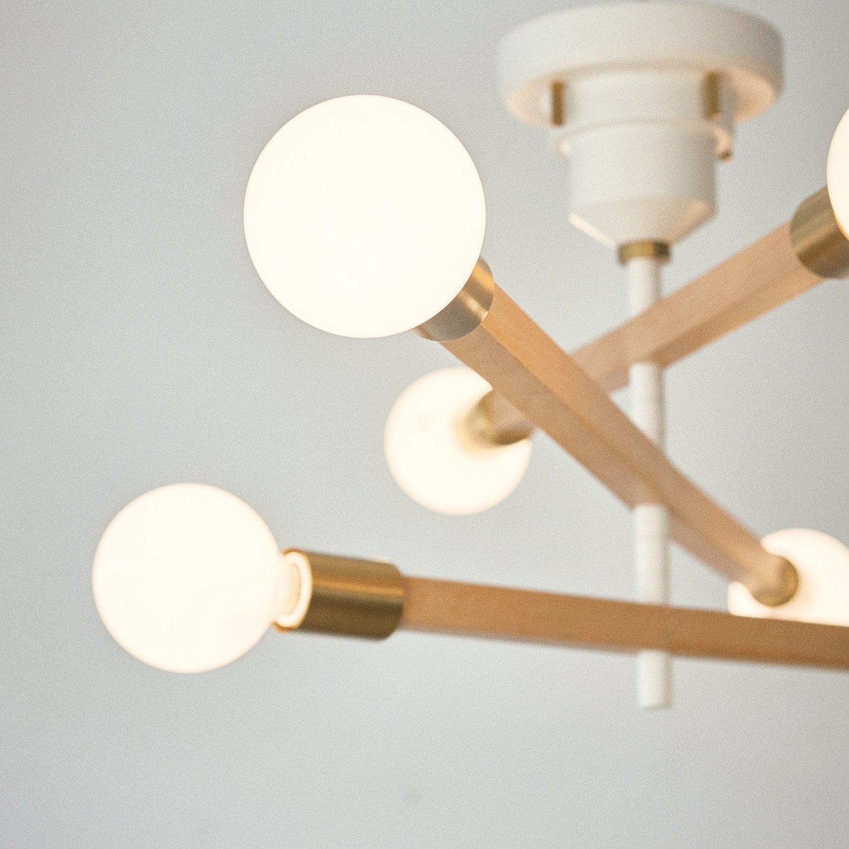 Astre -baum-|CEILING LIGHT