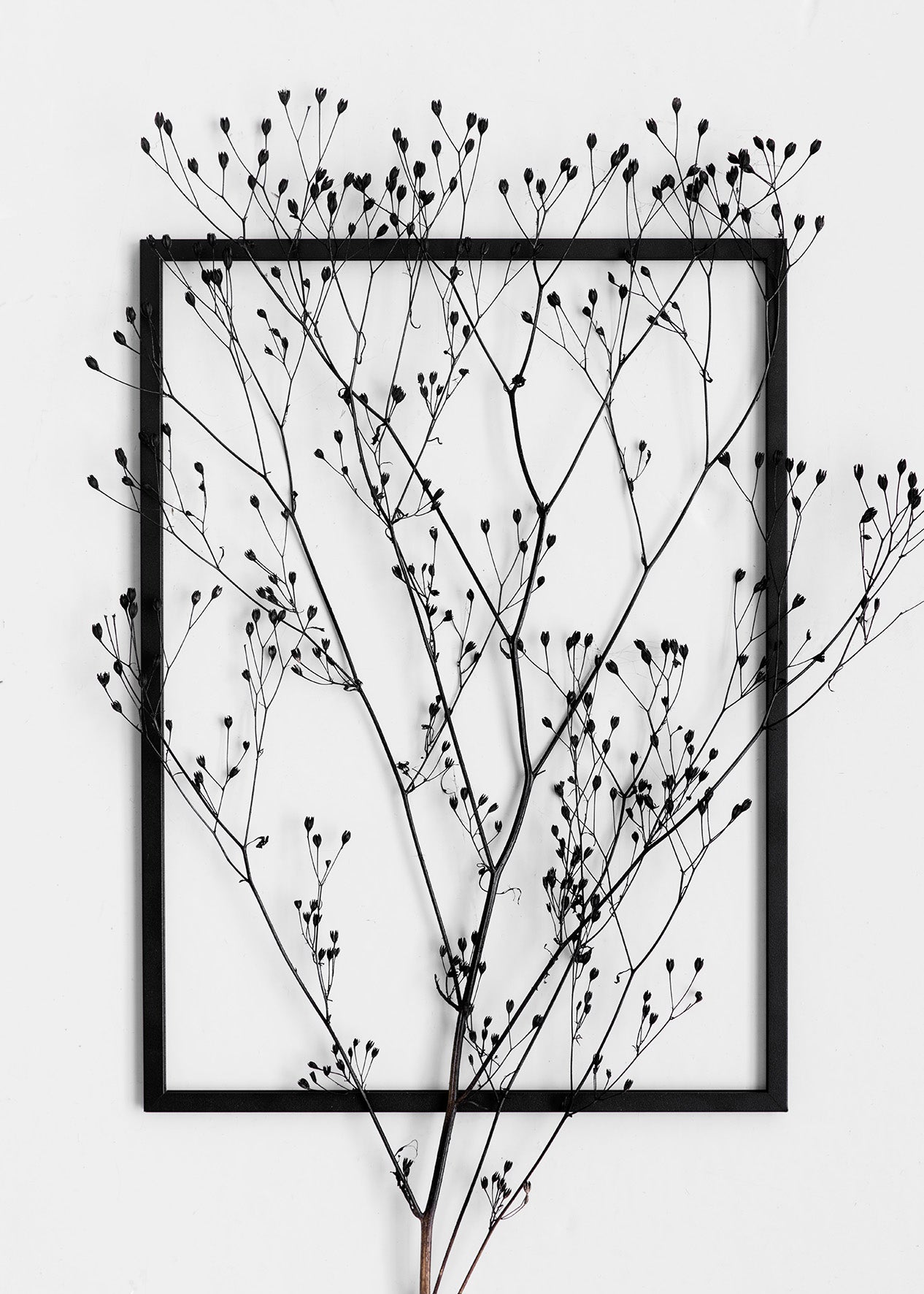 MOEBE FRAME BLACK A2/A3/A4/A5