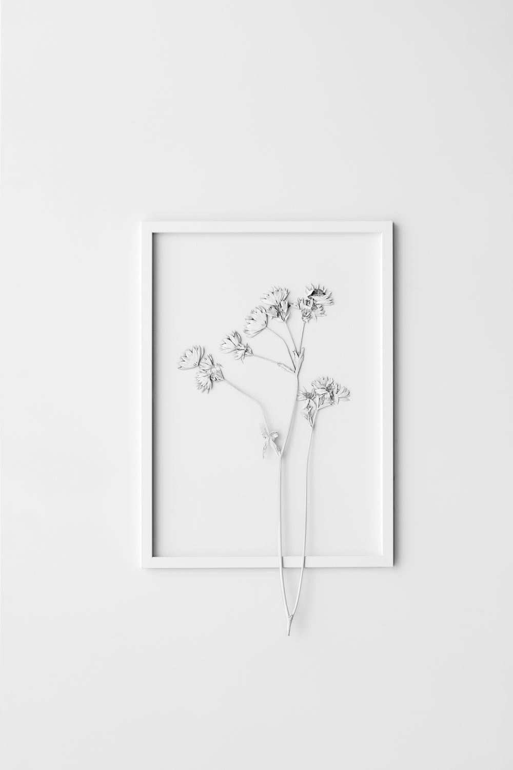 MOEBE FRAME WHITE A2/A3/A4/A5