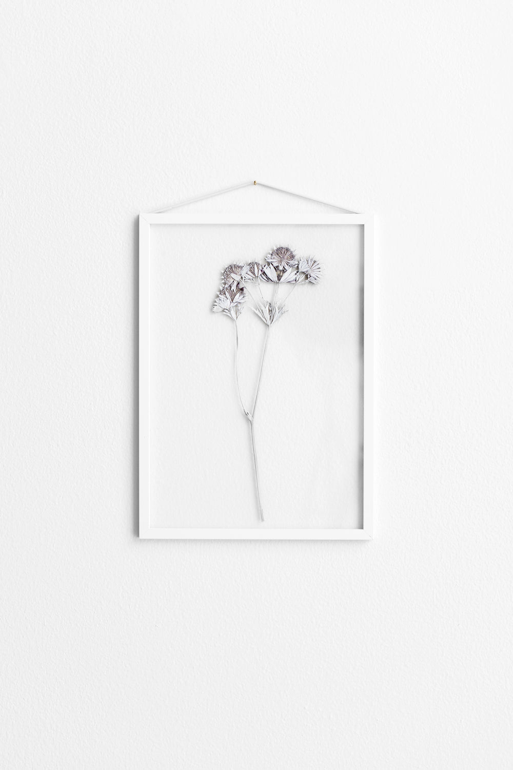 MOEBE FRAME WHITE A2/A3/A4/A5
