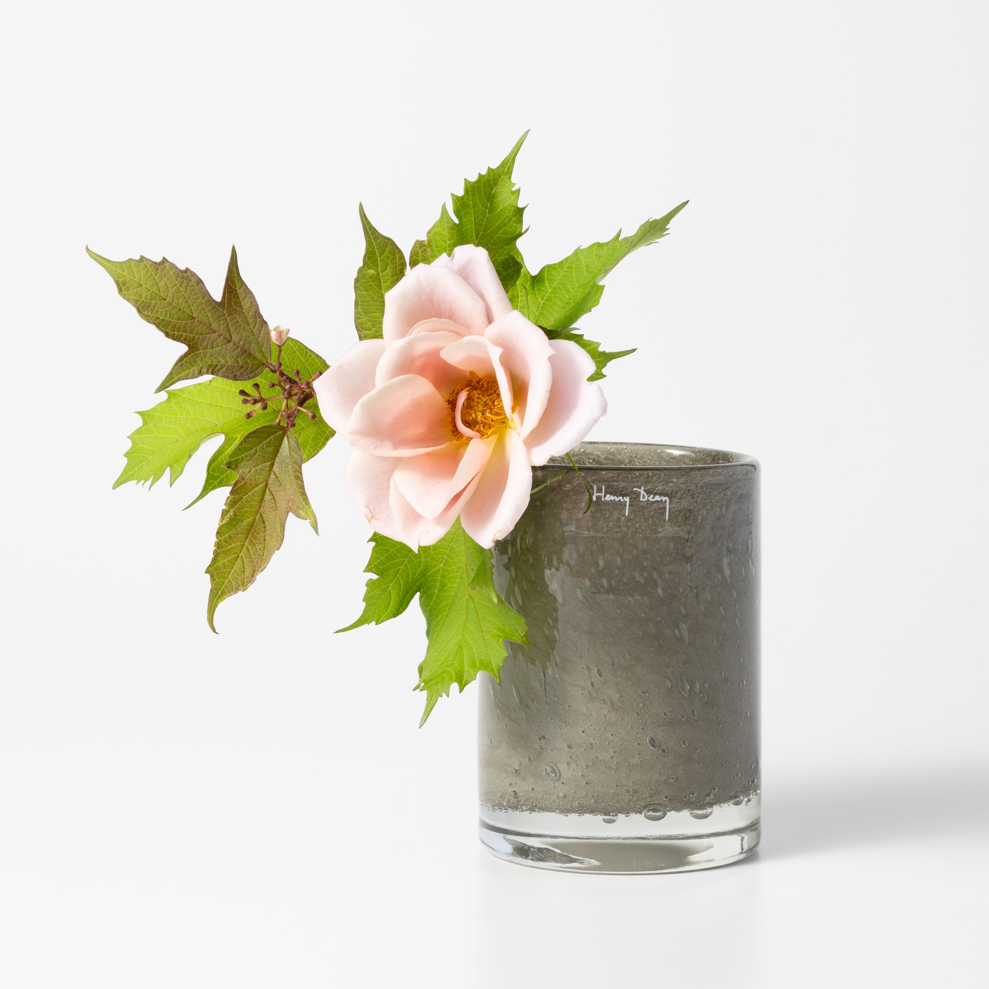 Cylinder 10×13 グラヴィエ｜Henry Dean