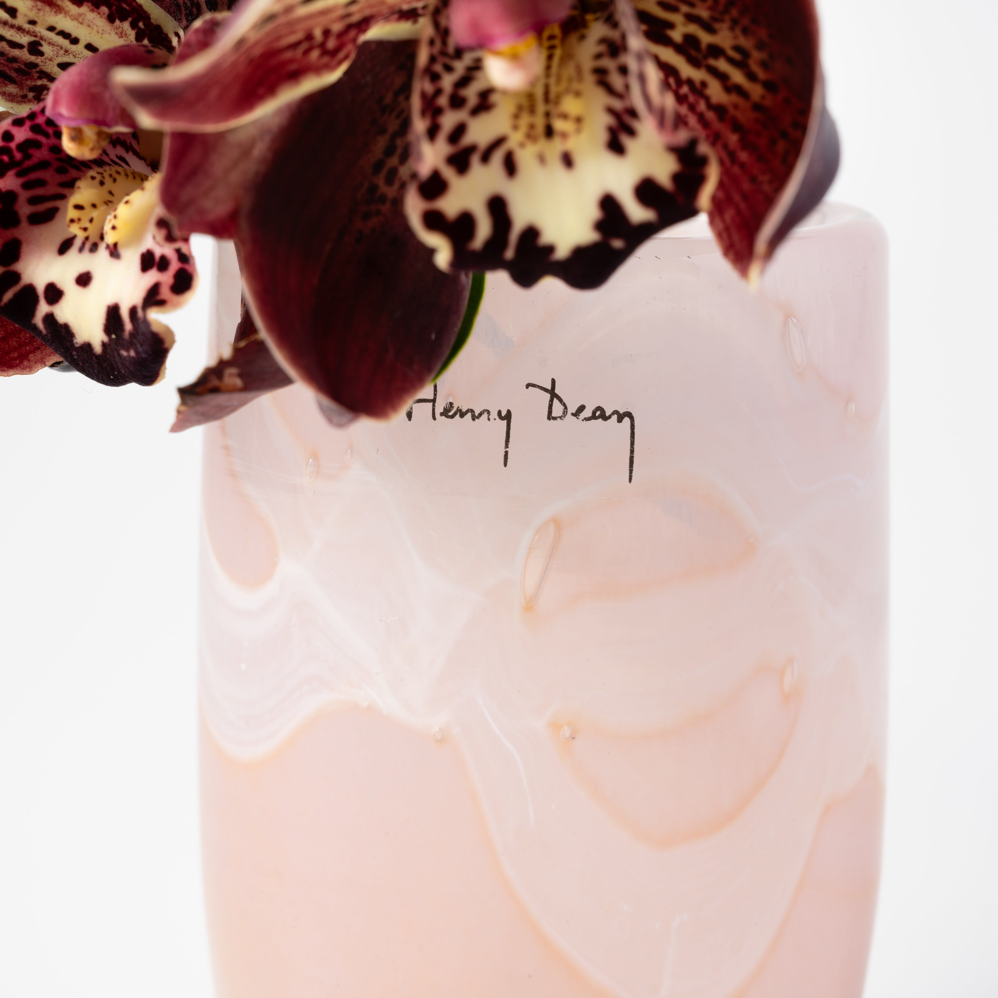 Julien XS アクアレルピーチ｜Henry Dean