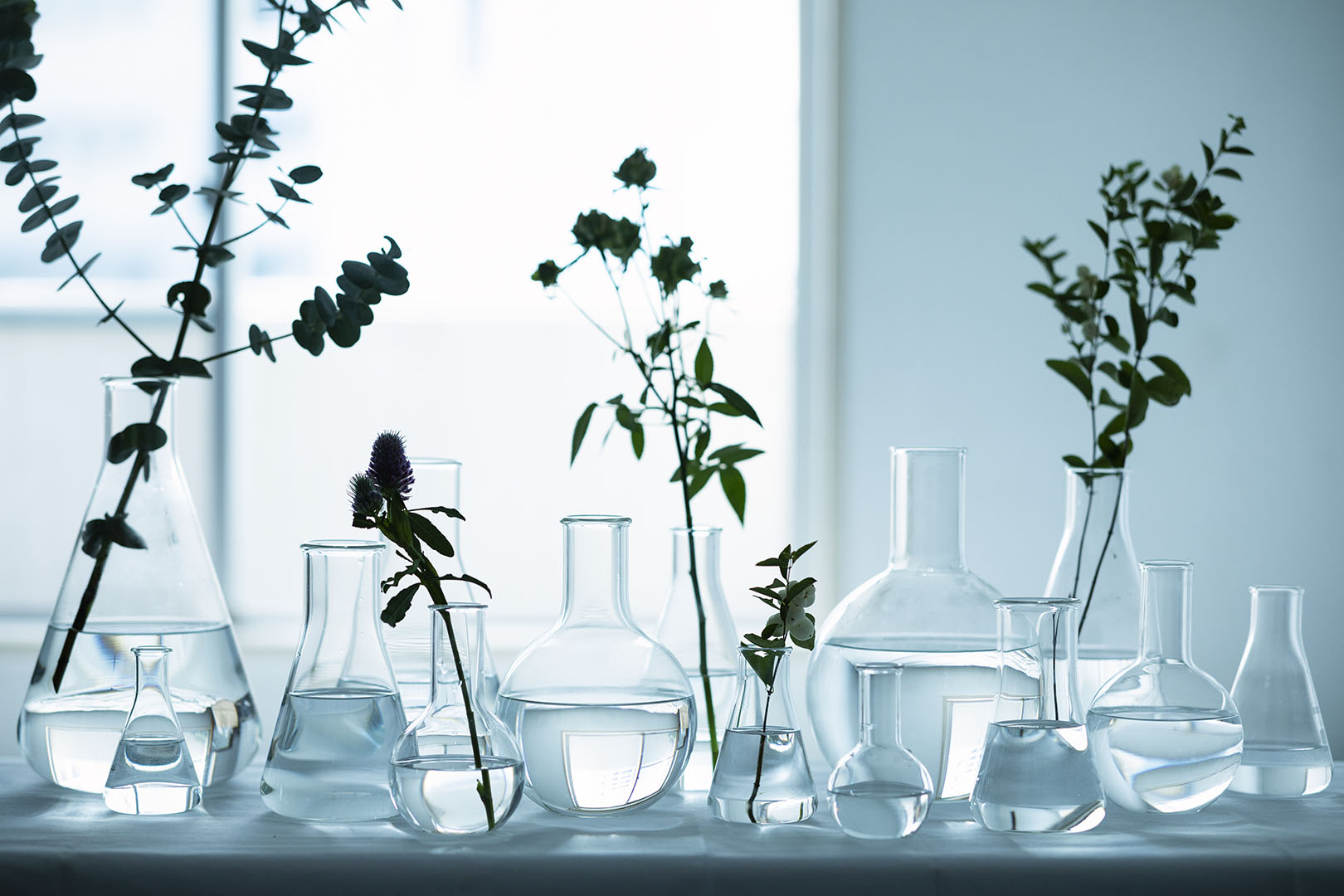 BOROSIL WIDE FLASK 100 BLANK