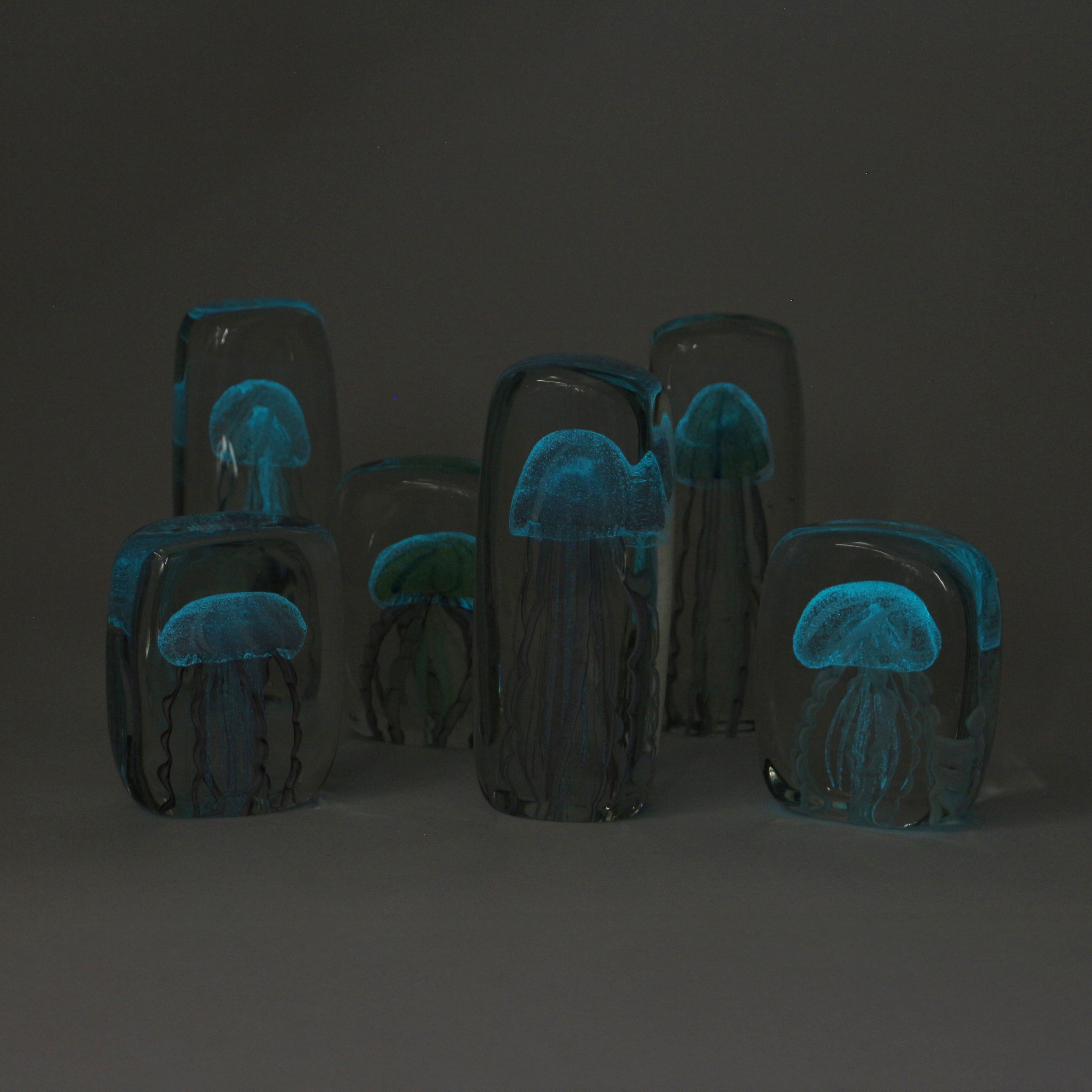 Jellyfish Twisted Leg "Tall / Blue"