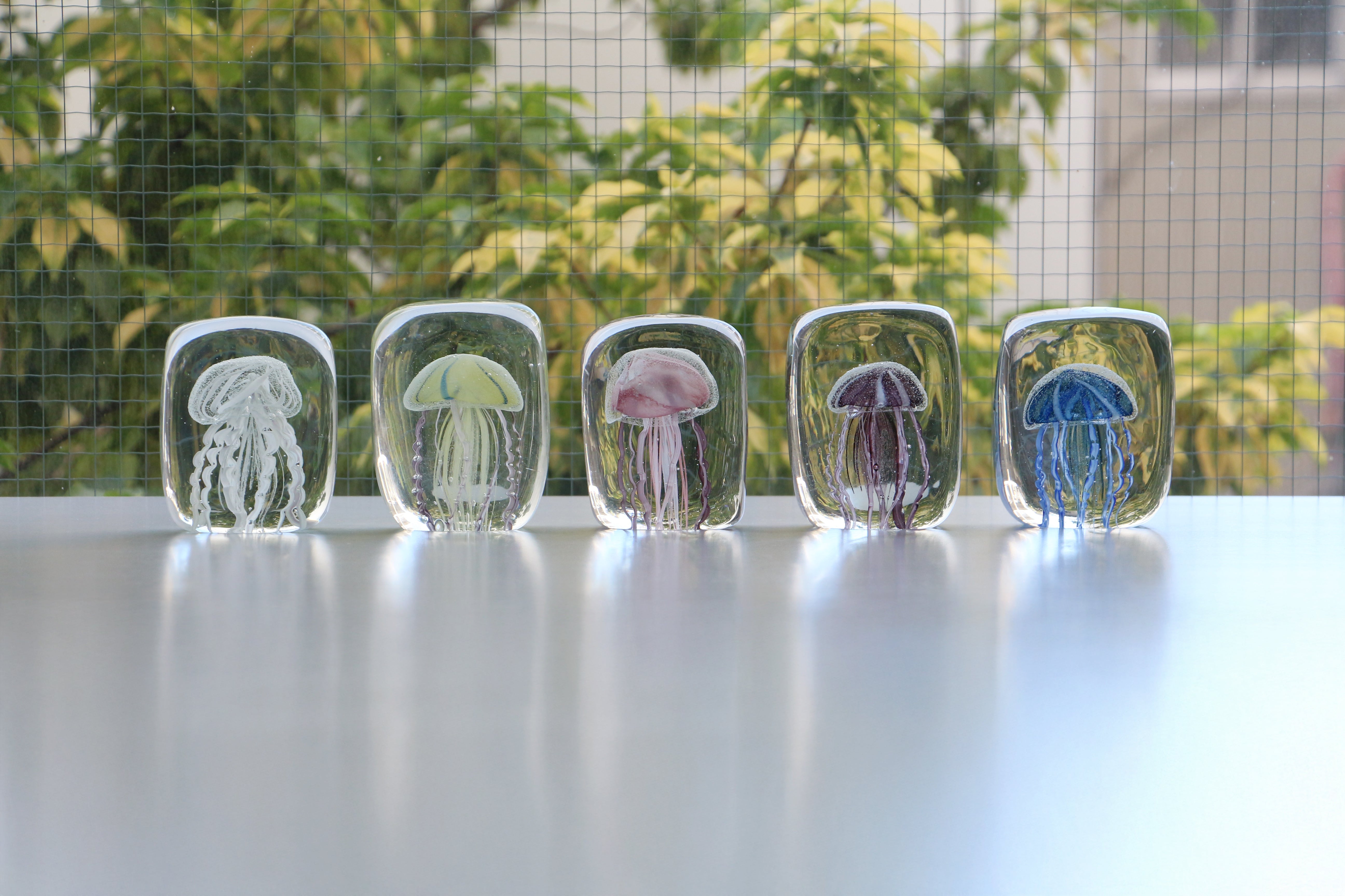 Jellyfish Twisted Leg "Square / Blue"