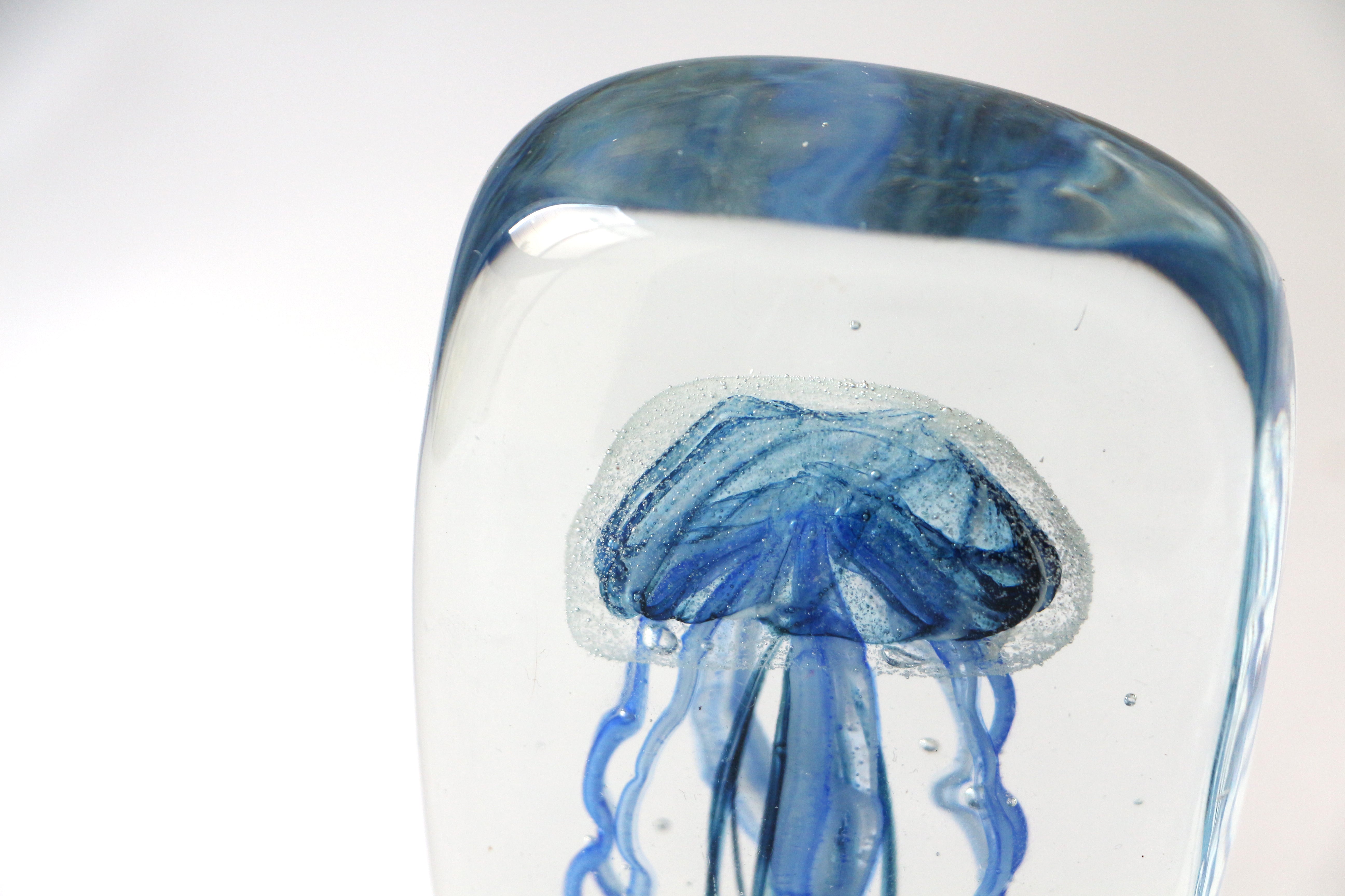 Jellyfish Twisted Leg "Square / Blue"