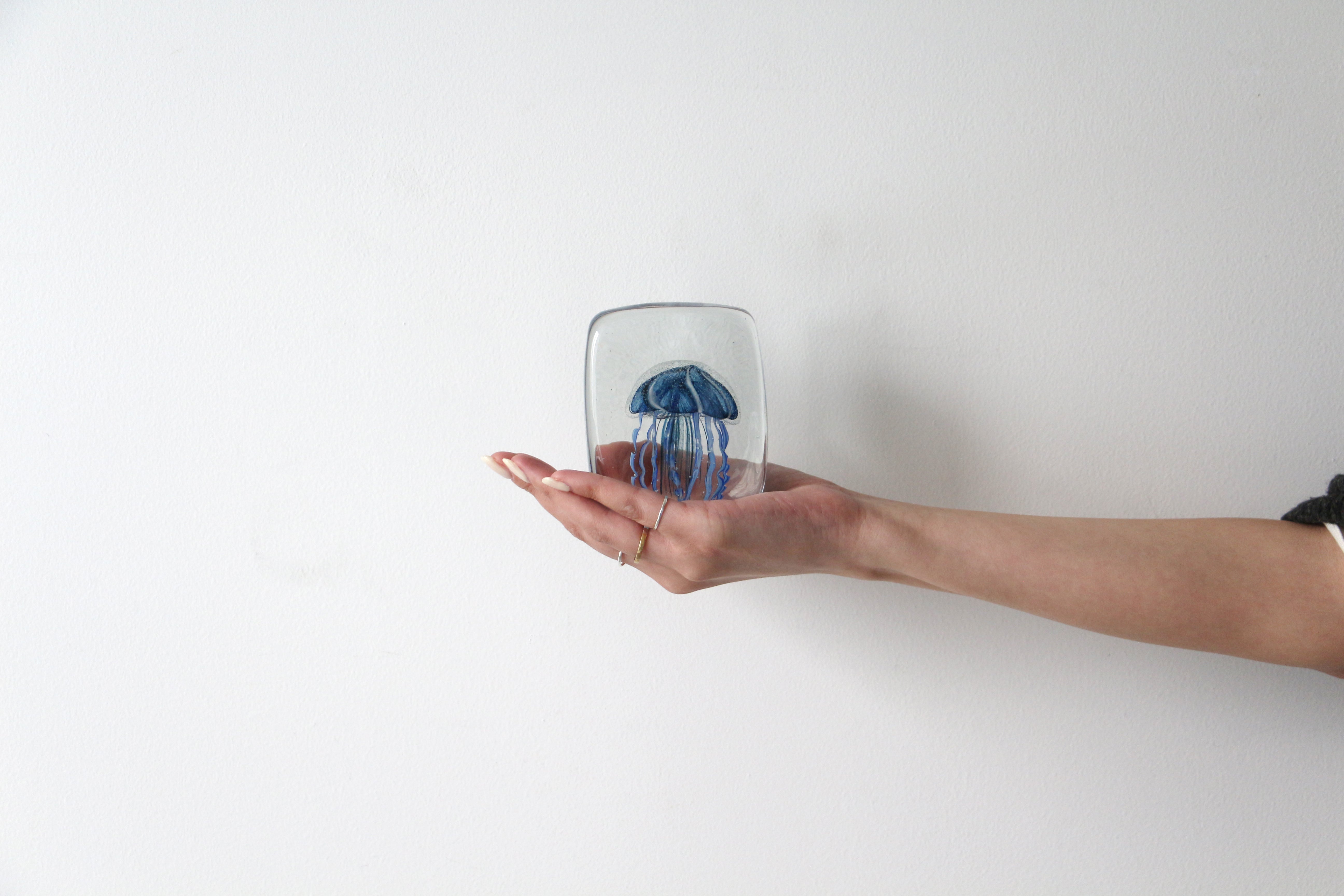 Jellyfish Twisted Leg "Square / Blue"