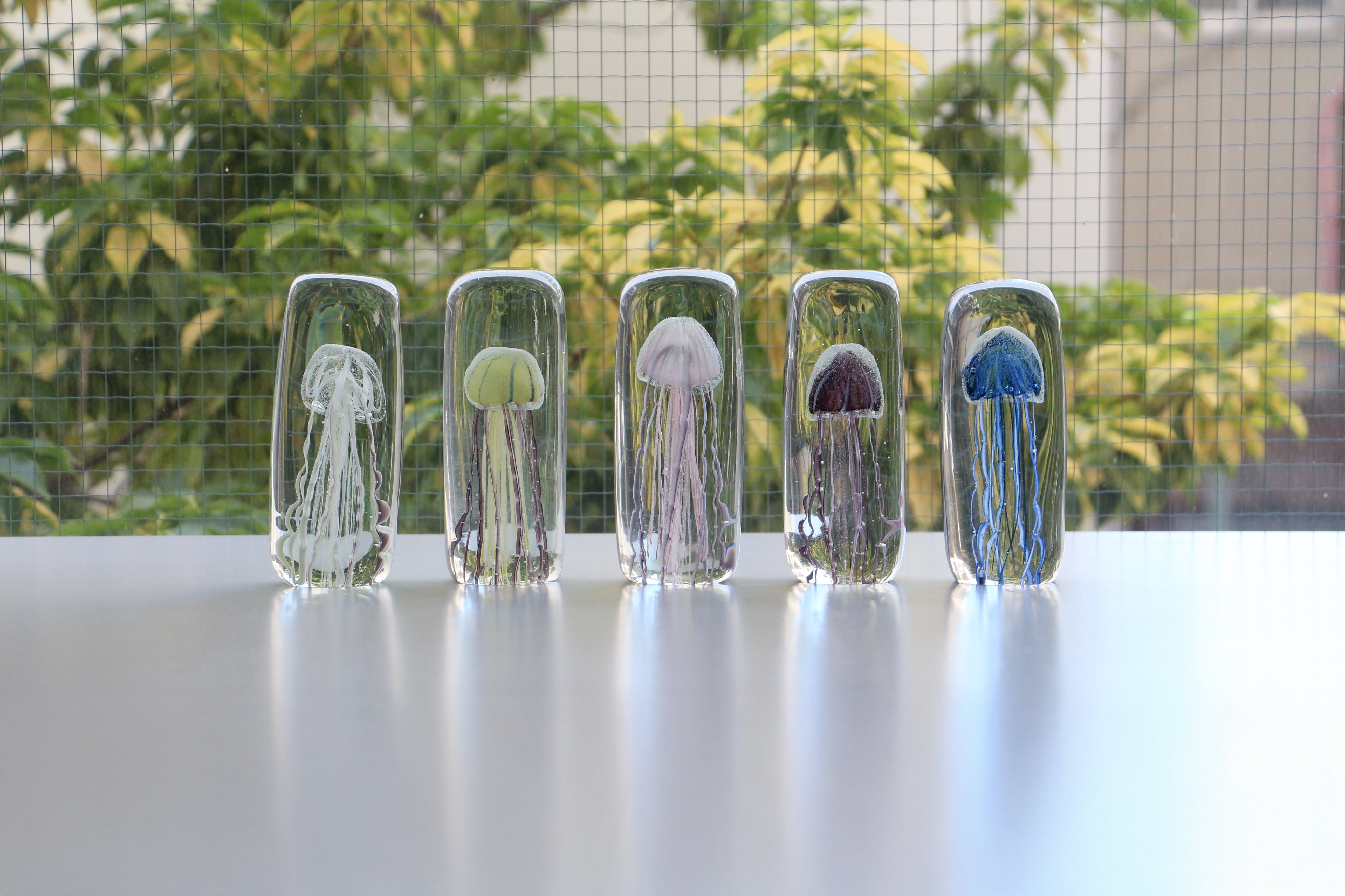 Jellyfish Twisted Leg "Tall / Blue"